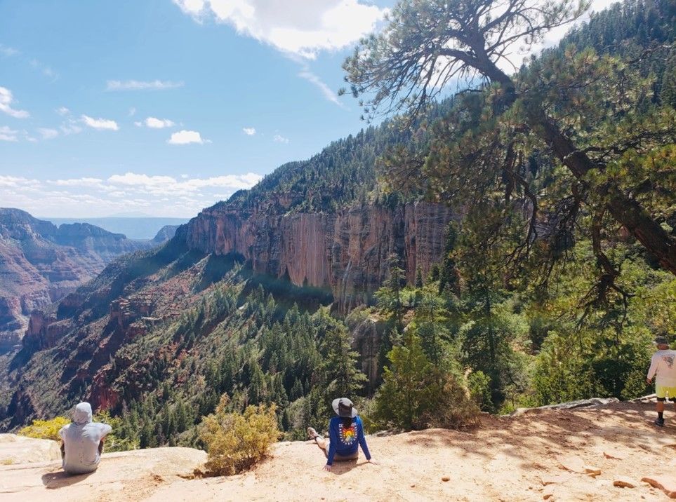 Two people are sitting on a rock overlooking a valley.