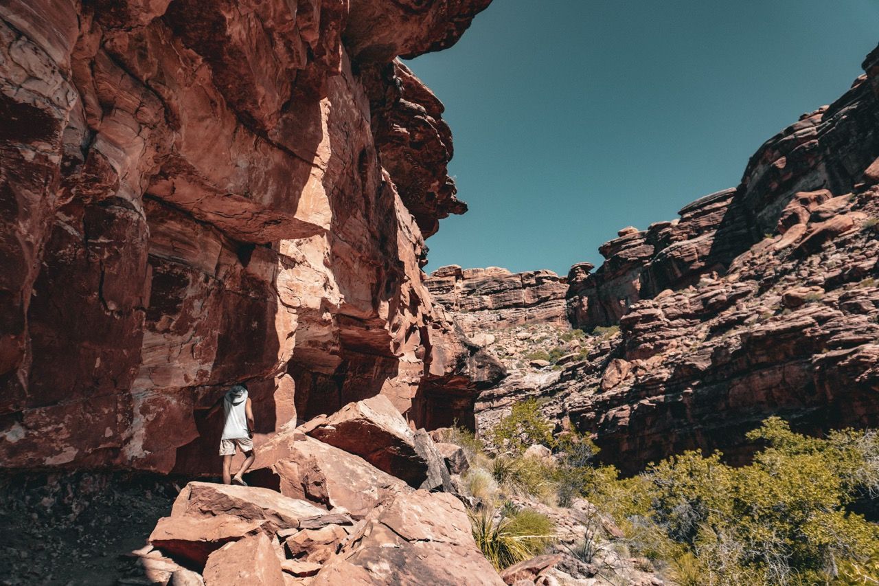 Person standing on red rock ledge in a canyon. Clear blue sky, sunny.