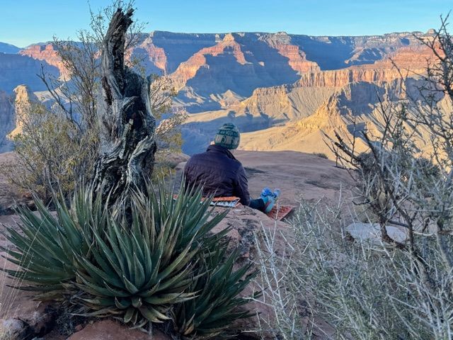 Person seated, gazing at the Grand Canyon at sunrise, with vegetation in foreground.