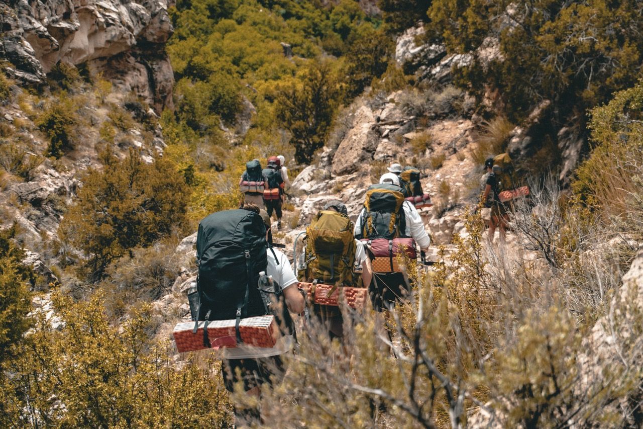 people hiking of a mountain with hiking bags on their back