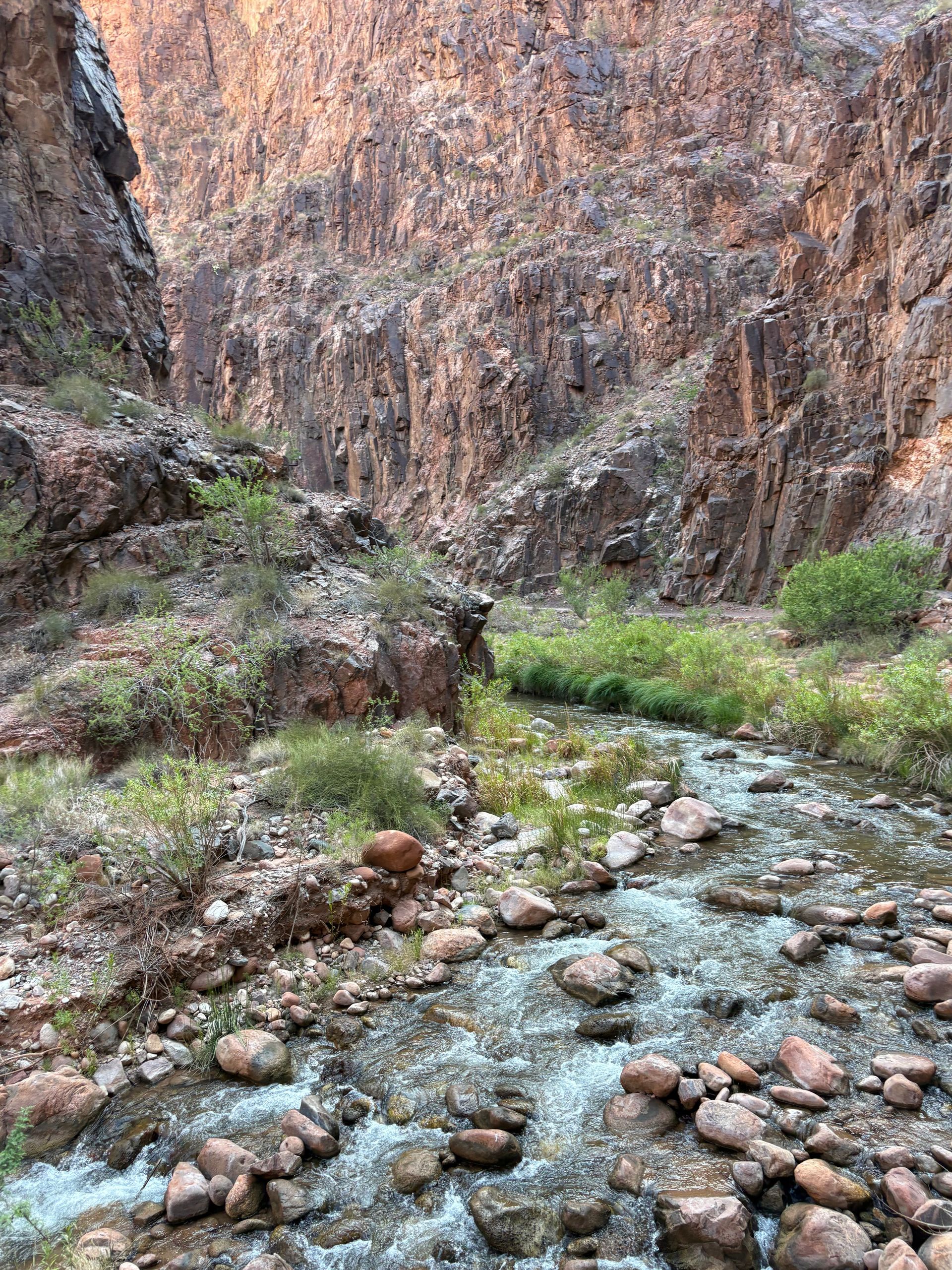 A rocky stream flows through a canyon. The canyon walls are reddish-brown, and some greenery lines the banks.