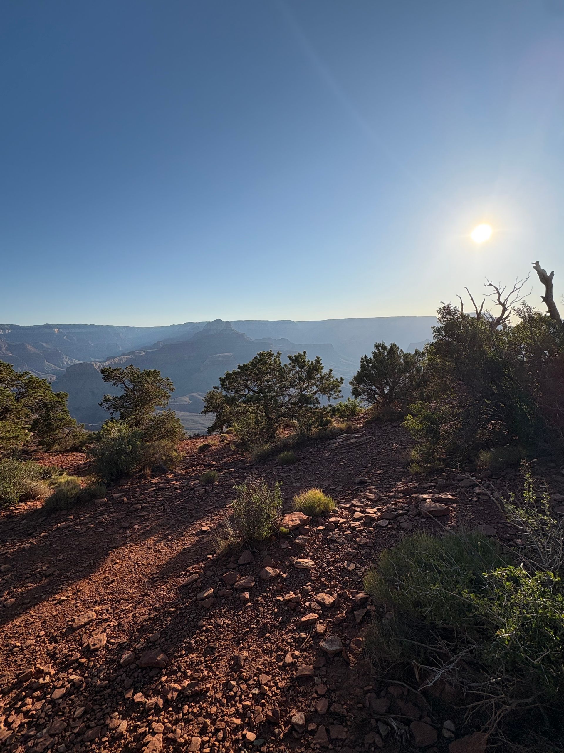 Red dirt path overlooking canyon landscape with sun shining.