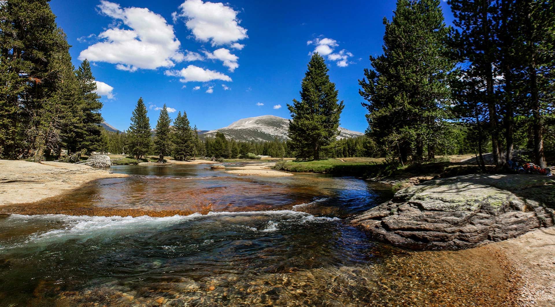 Vogelsang Alpine Loop