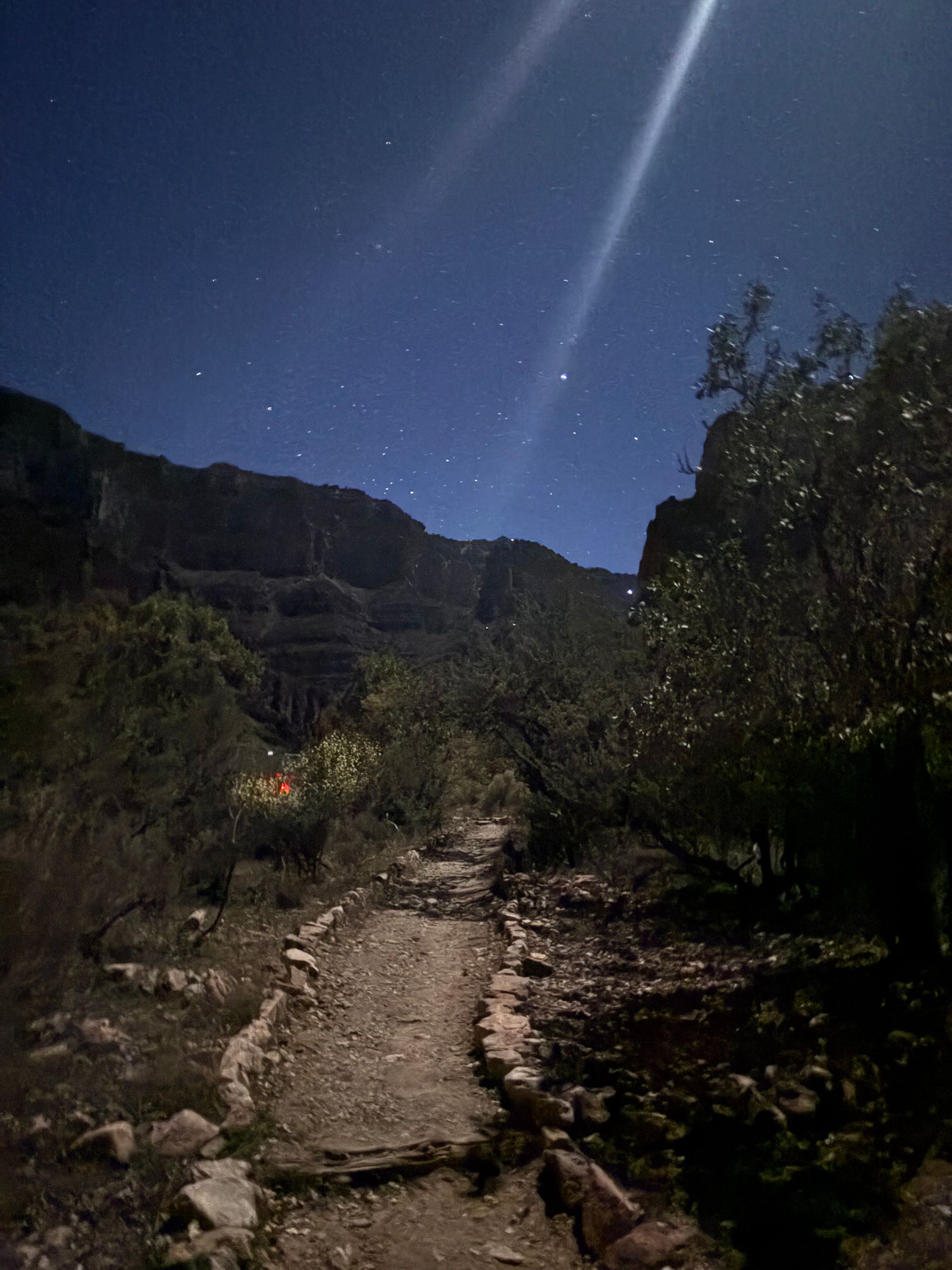 Narrow trail under a starry night sky, flanked by trees and rocks, leading toward a distant cliff.