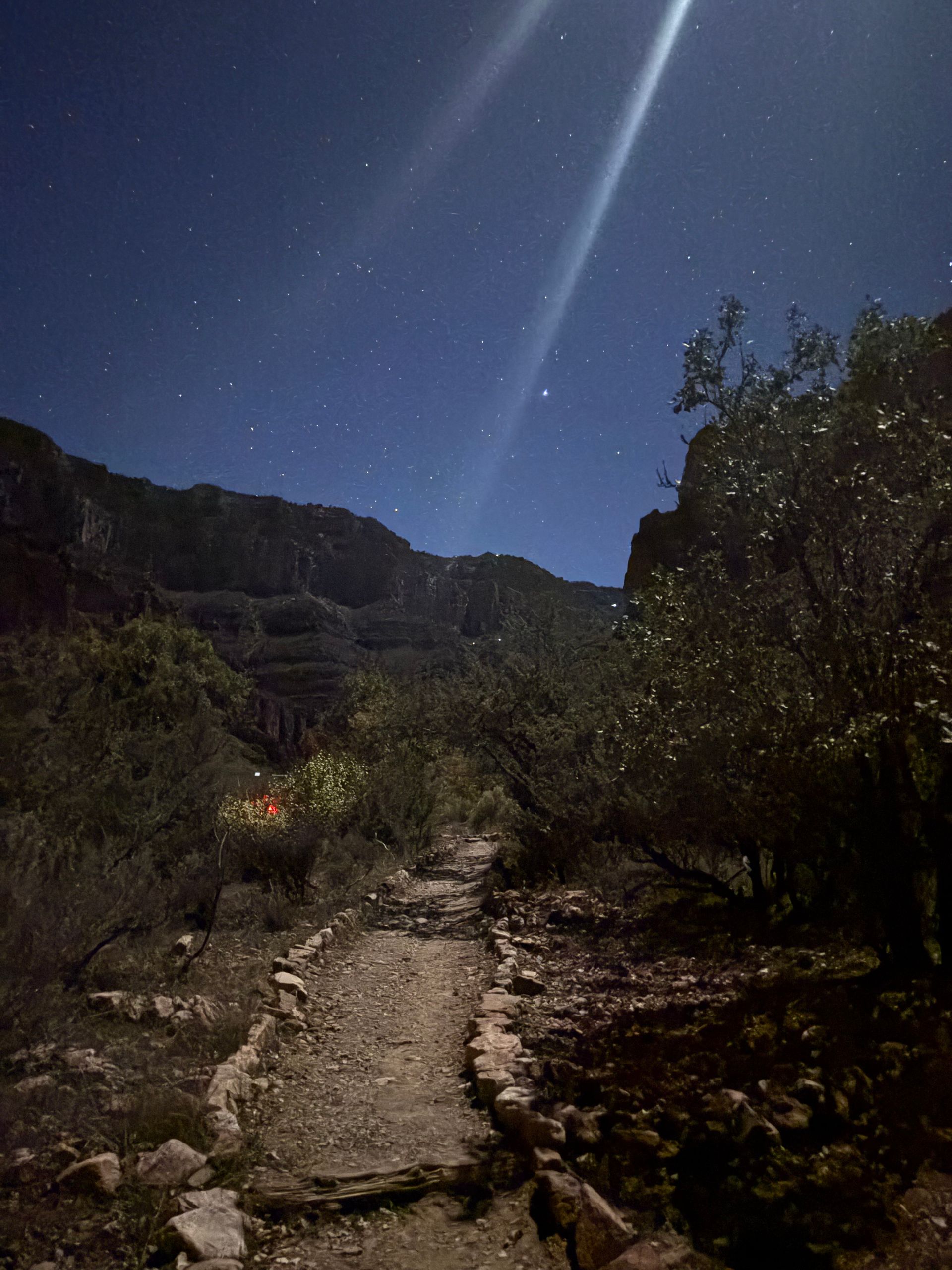 Nighttime trail through a canyon, with a starry sky overhead.
