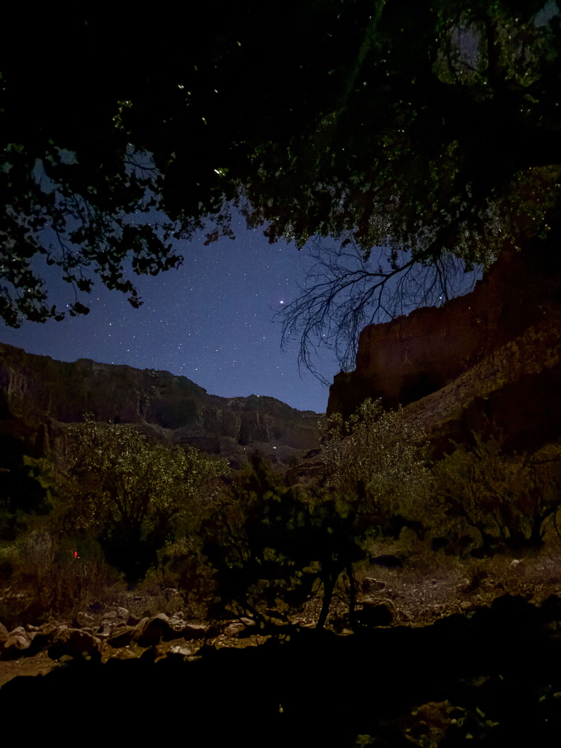 Night sky with visible stars framed by trees and canyon walls.