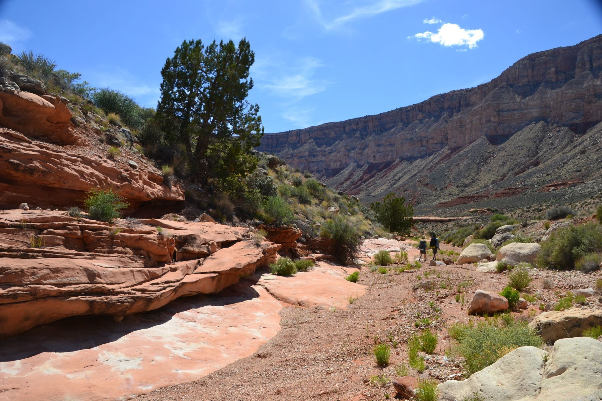 Canyon landscape with red rock formations, dry riverbed, and two figures hiking under a blue sky.