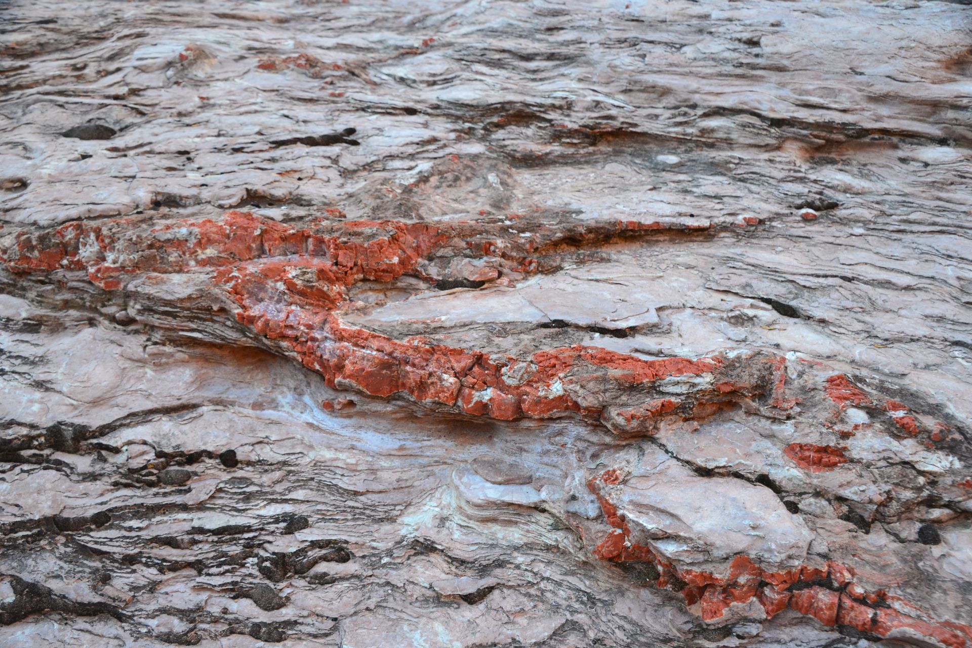 Close-up of weathered rock with reddish, linear formations.