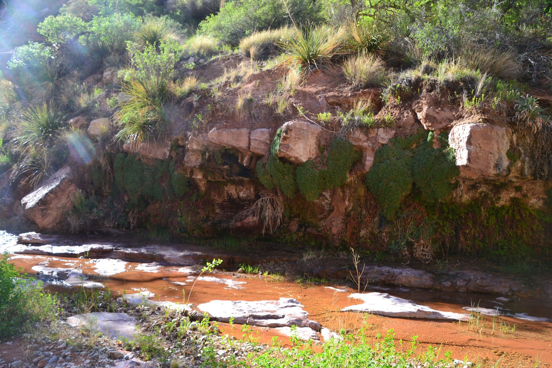 A muddy creek flows through a rocky canyon with green vegetation.
