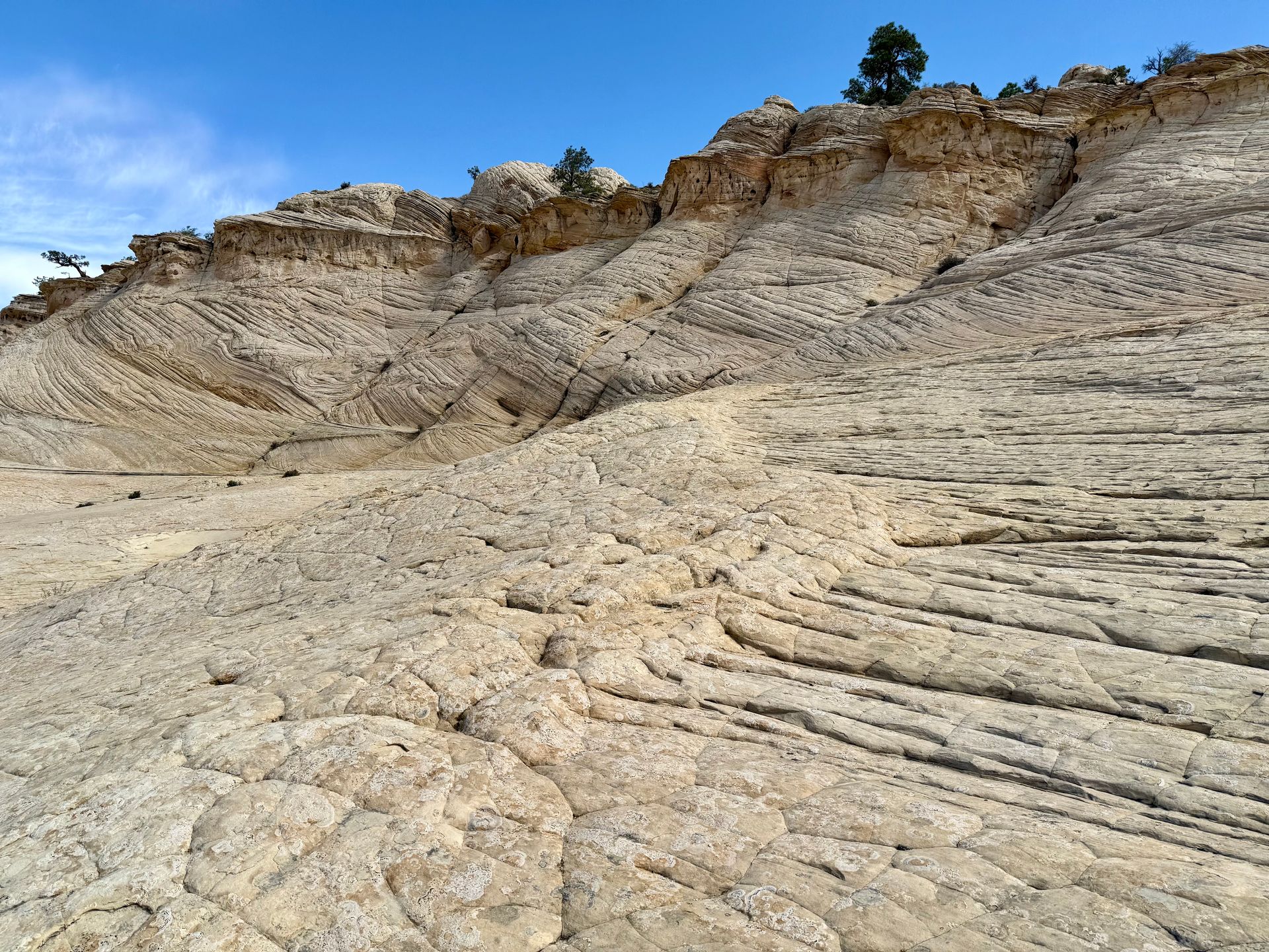 Eroded tan rock formations under a blue sky.  The layered terrain slopes upward, with some small trees at the top.