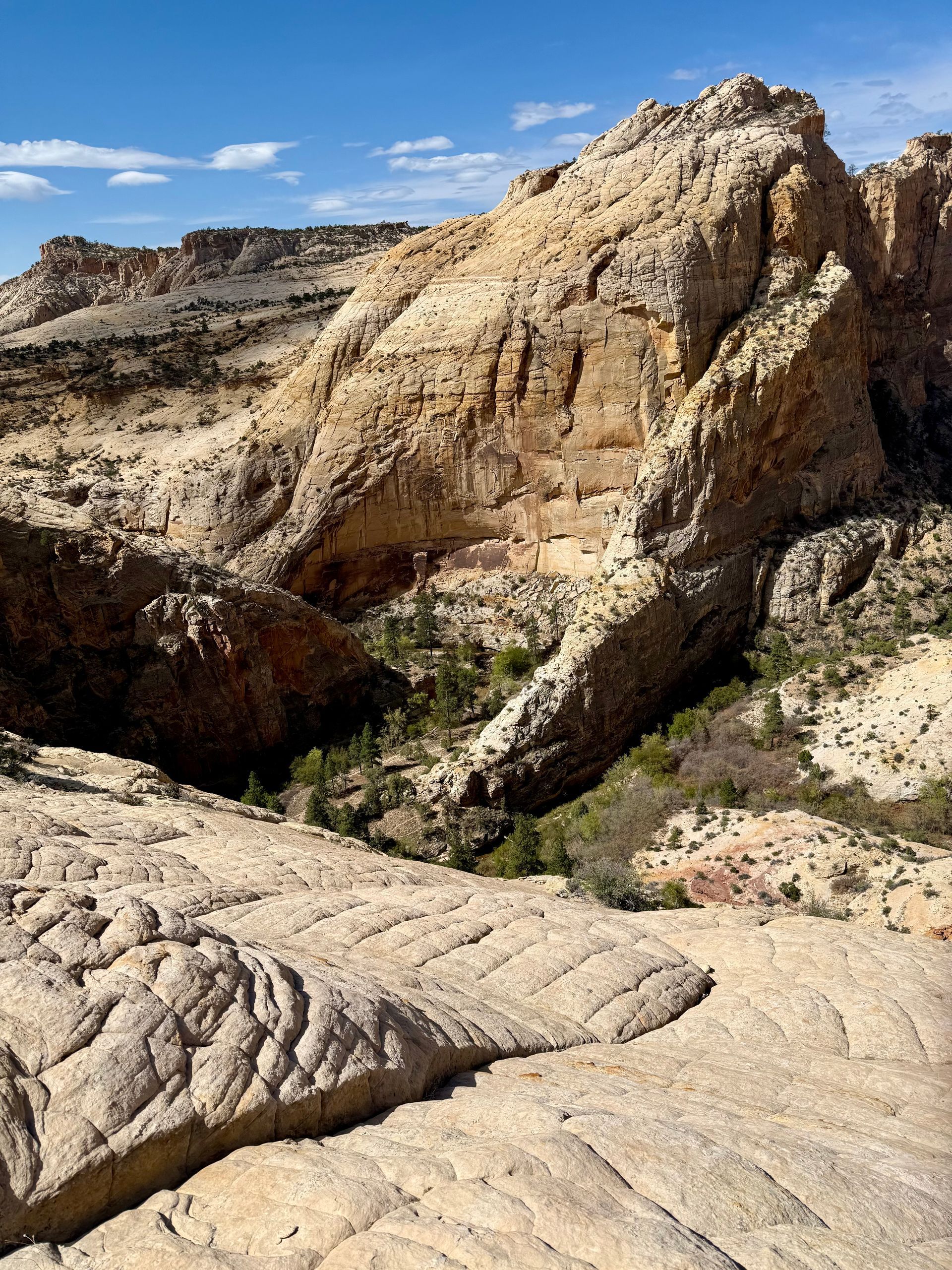Sandstone canyon with blue sky, textured rock formations.