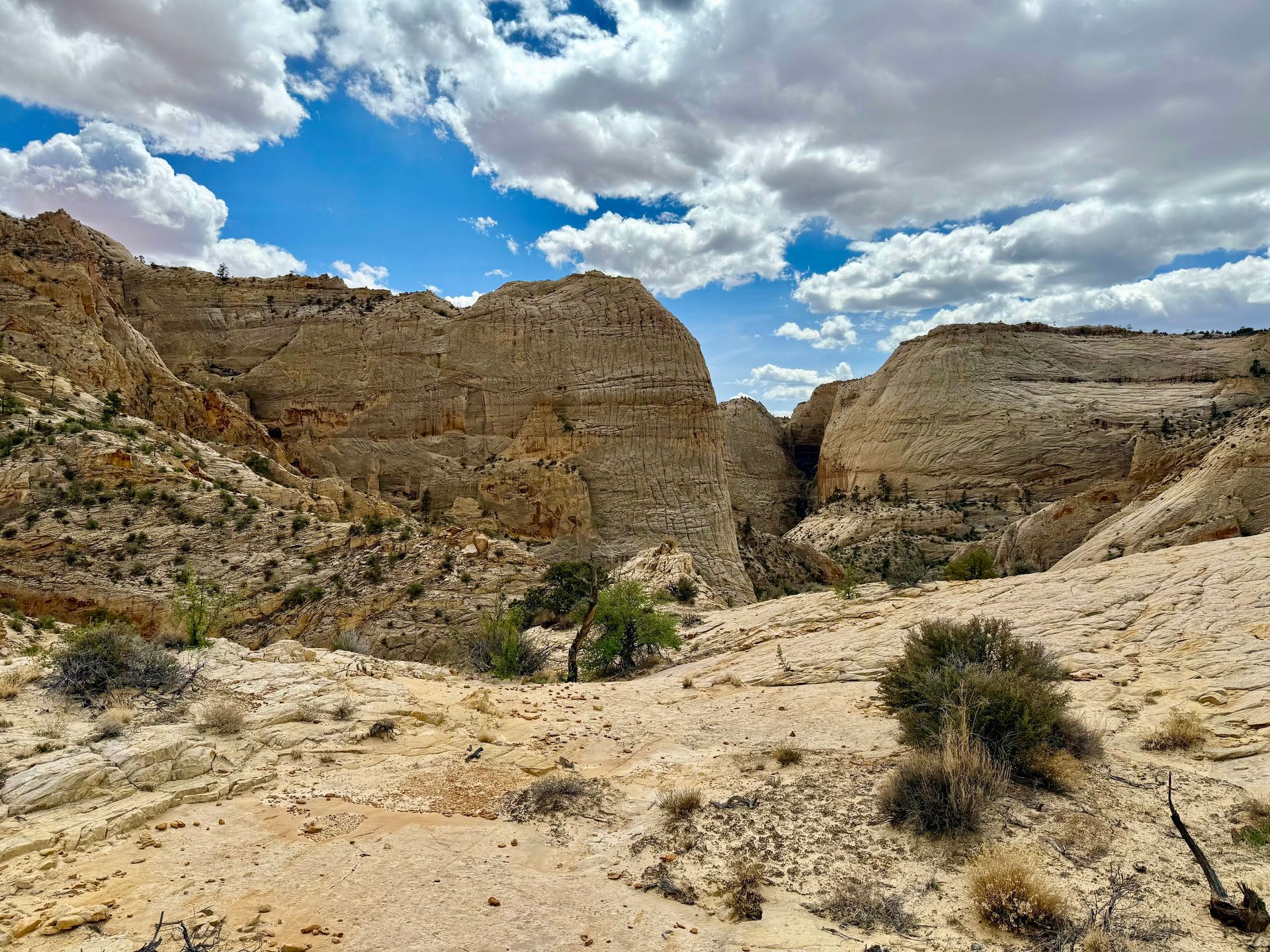Canyon landscape with beige rock formations, sparse green trees, and a partly cloudy blue sky.