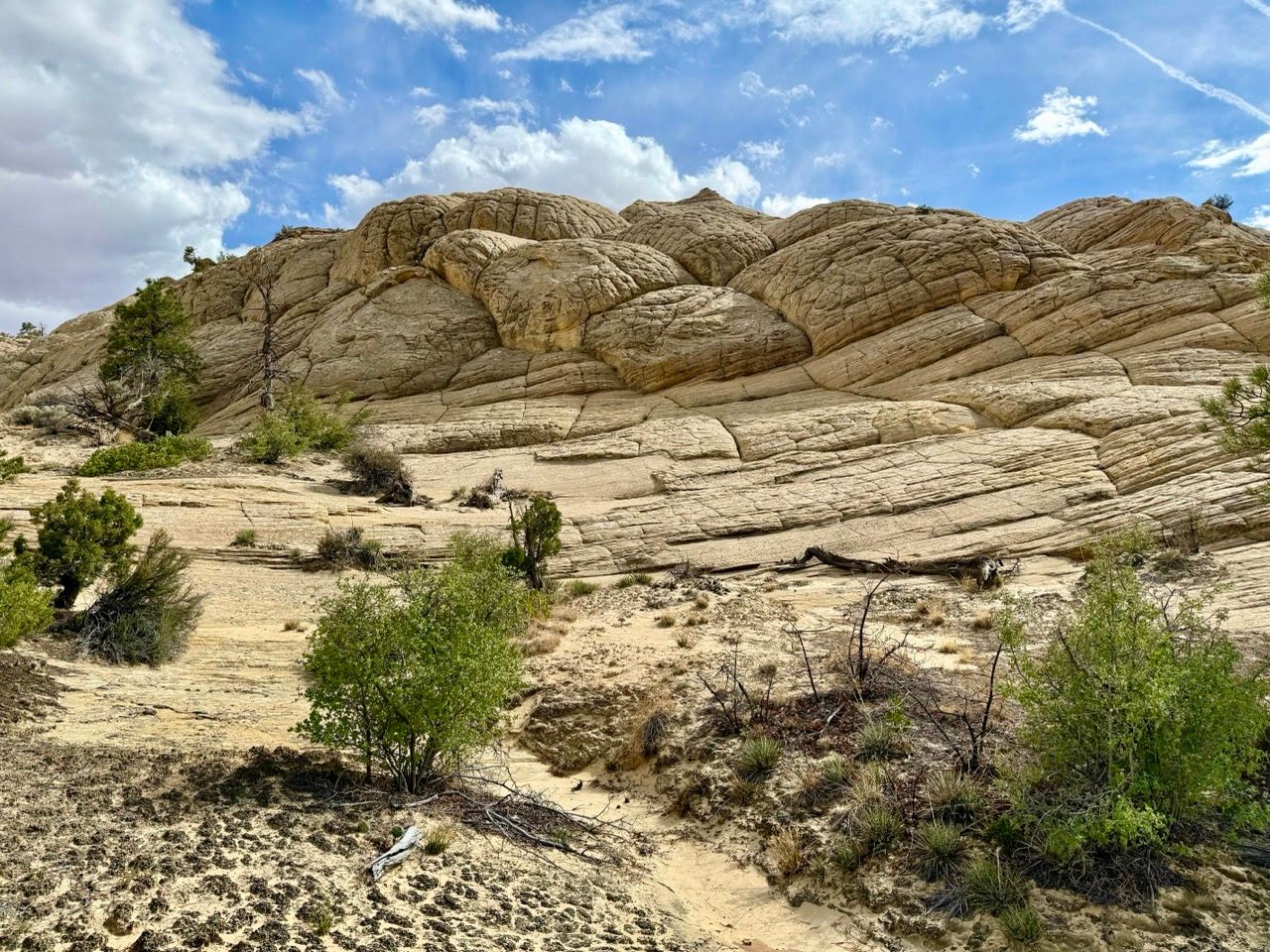 Sandstone rock formation with layered textures under a cloudy blue sky, sparse desert vegetation in the foreground.