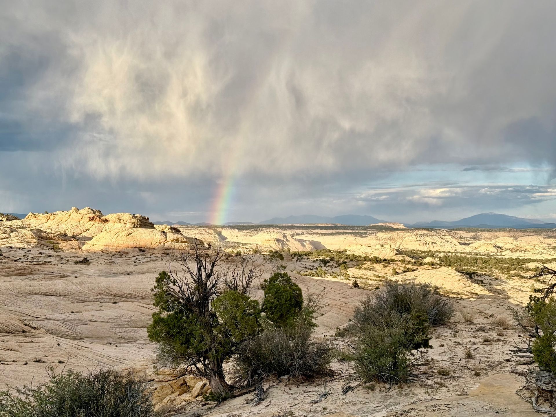 Rainbow over a desert landscape with white rock formations and sparse green vegetation. Overcast sky.