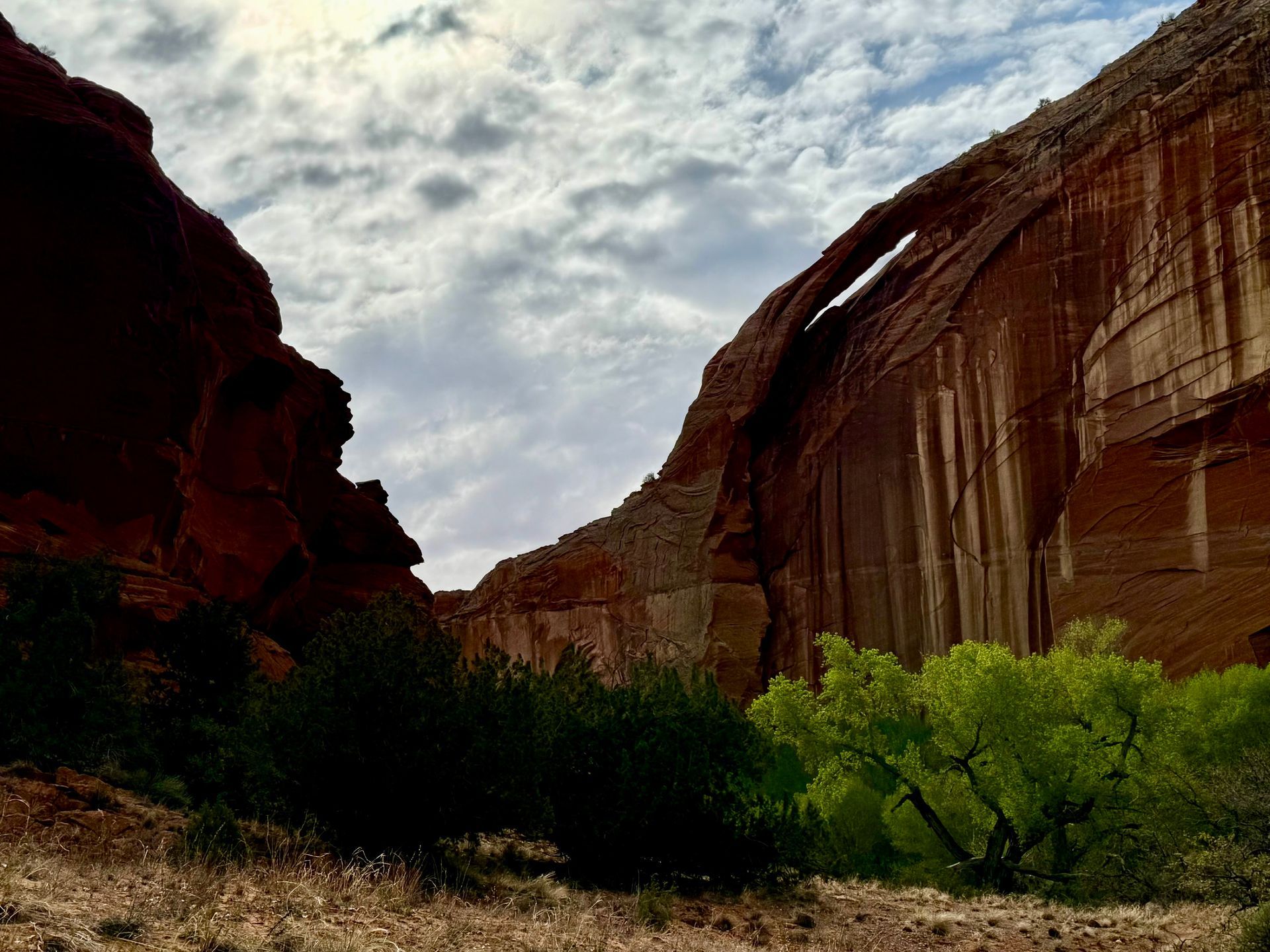 Red rock canyon with archway under a cloudy sky, green foliage in foreground.