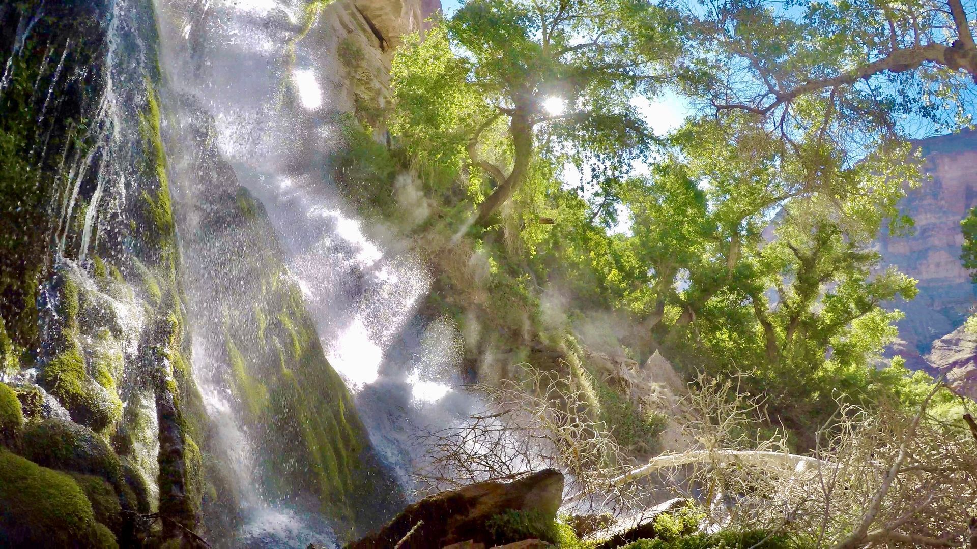 A waterfall is surrounded by trees and rocks in the middle of a forest.