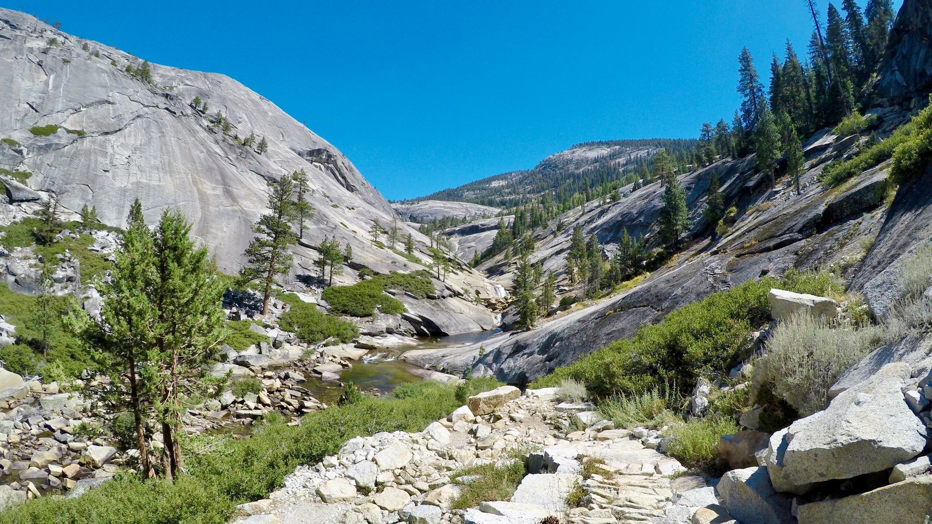 A mountain valley with trees and rocks on a sunny day