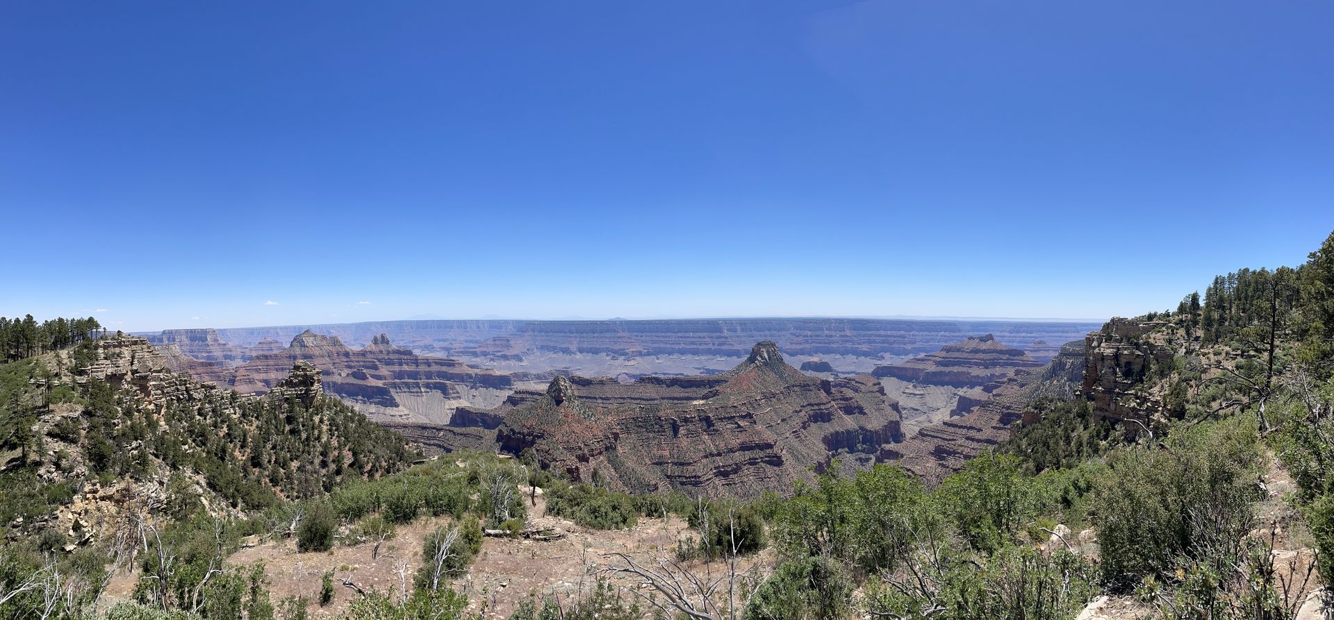 A view of the grand canyon from the top of a mountain.