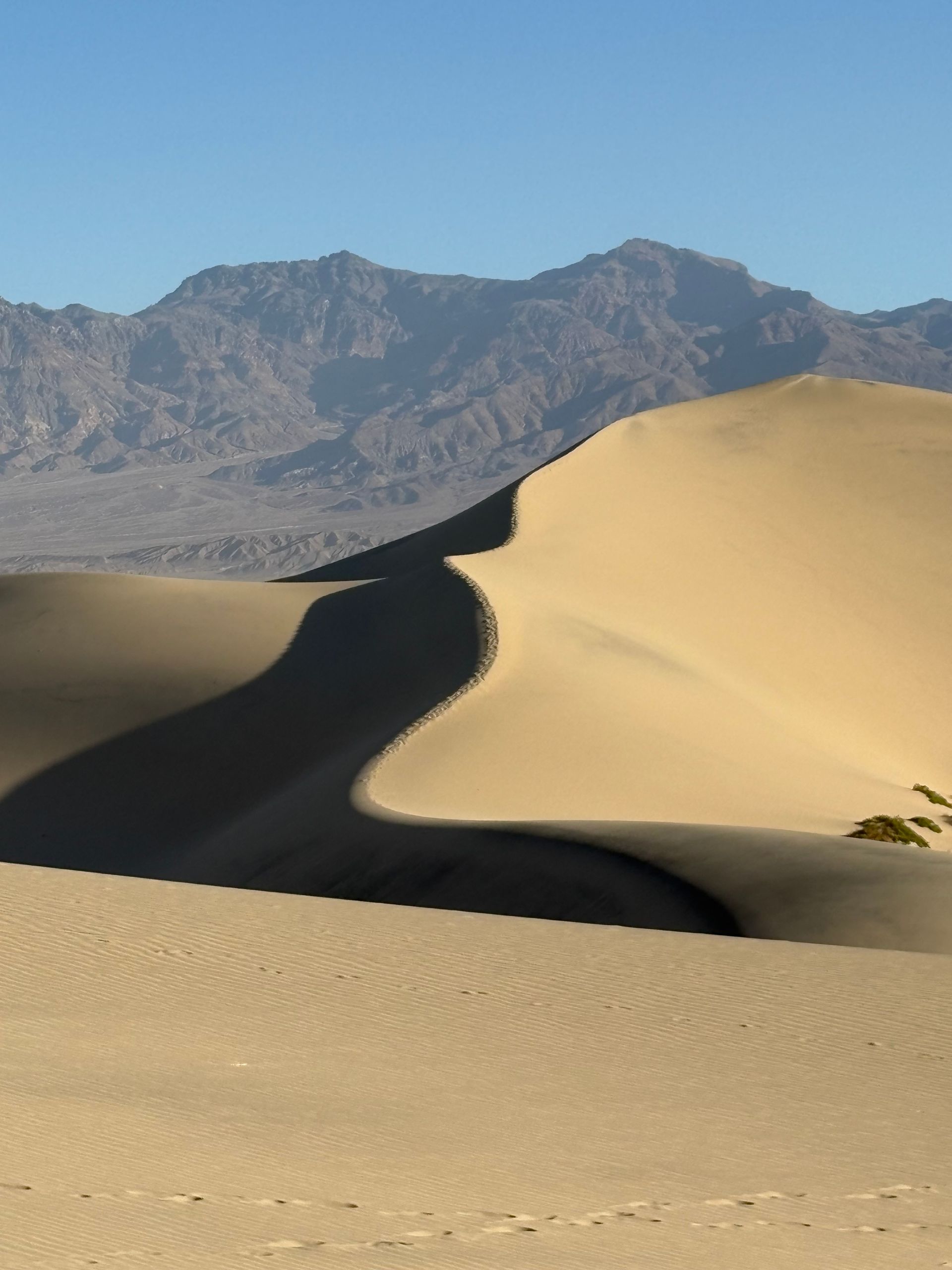 Sand dunes in desert with mountains in background.