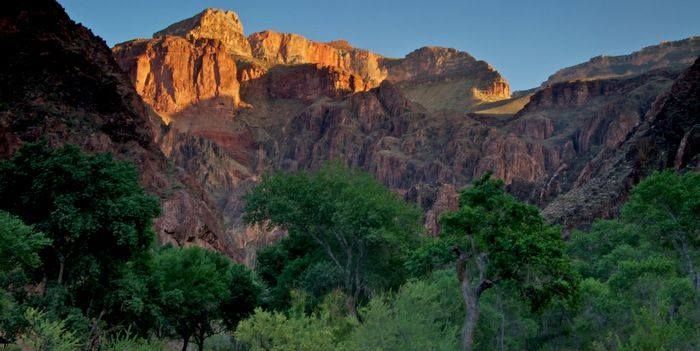 There is a mountain in the background with trees in the foreground.