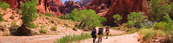 Two people are walking down a dirt road in the desert.