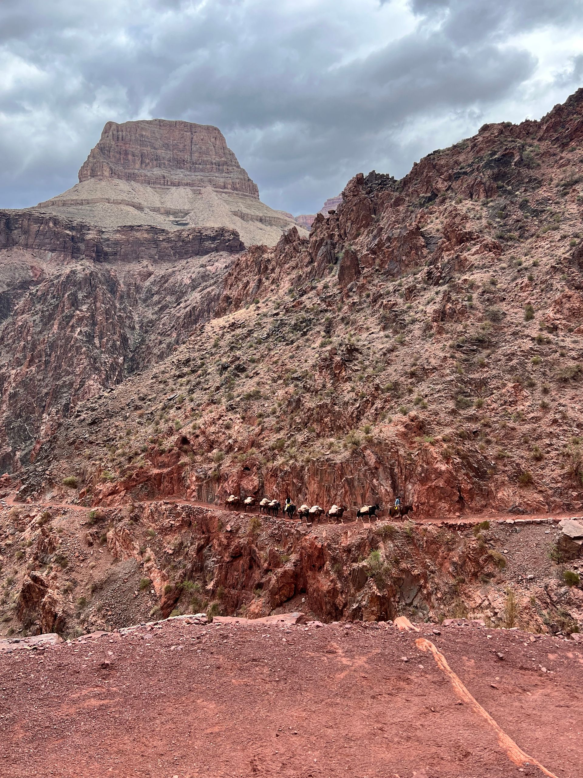 Red canyon trail with a line of mules and a distant mountain peak under a cloudy sky.