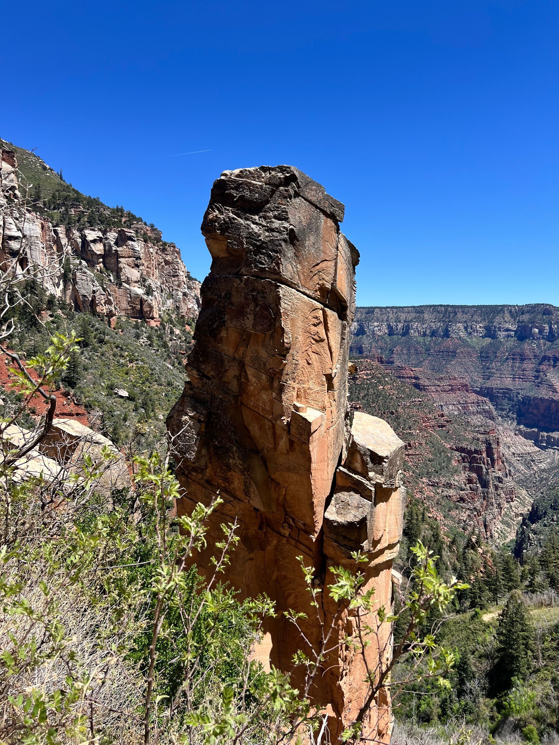 Tall, weathered rock formation on a canyon rim, under a bright blue sky.