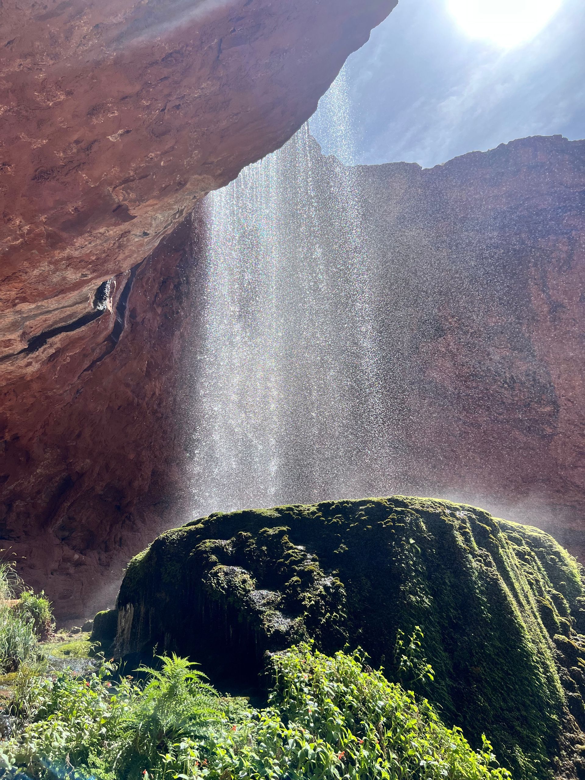 Waterfall cascading over moss-covered rock into green plants, with a sunlit backdrop.