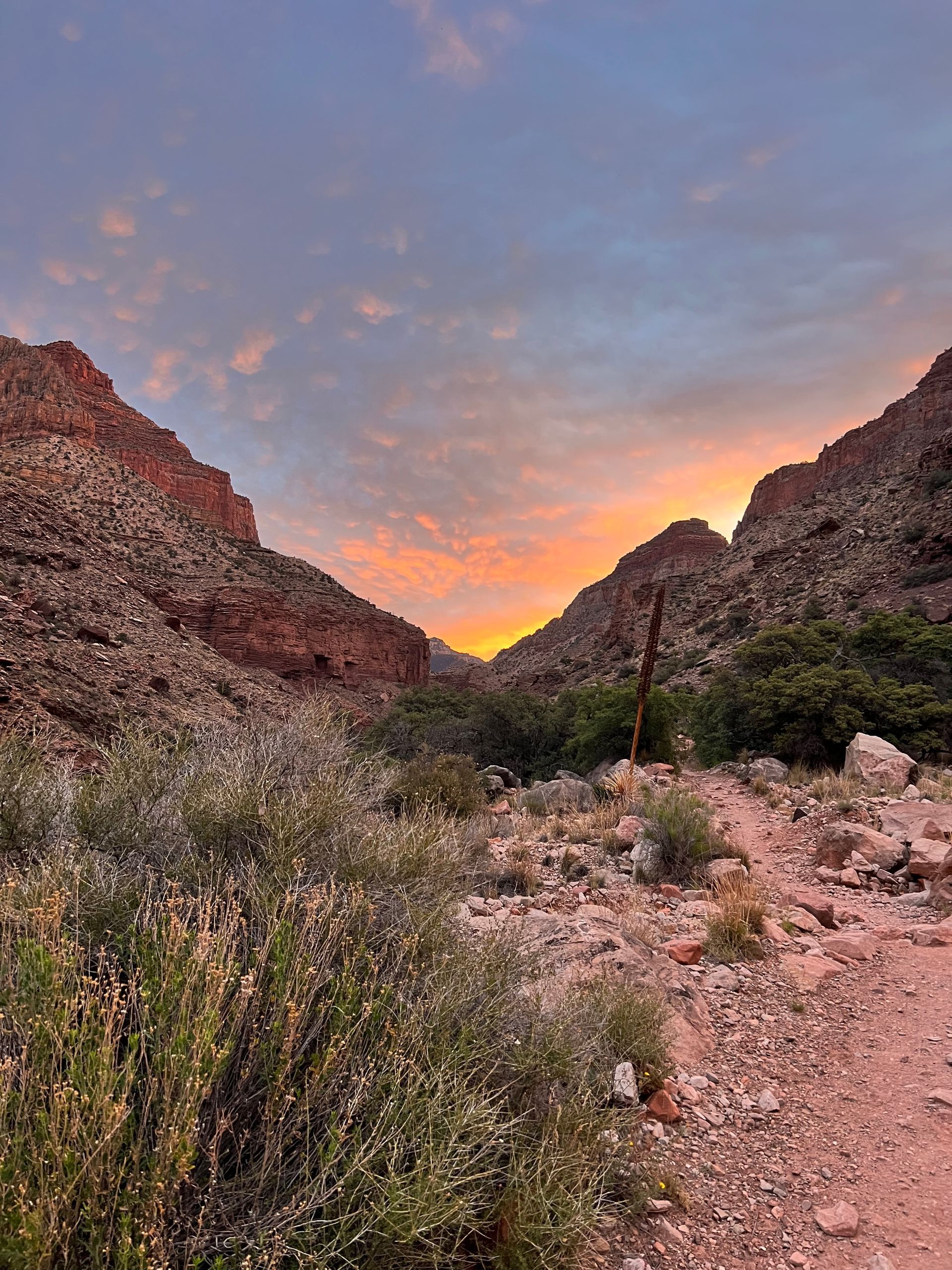 Sunset over a rocky canyon trail. Orange sky, reddish-brown rock walls, and brush-lined path.