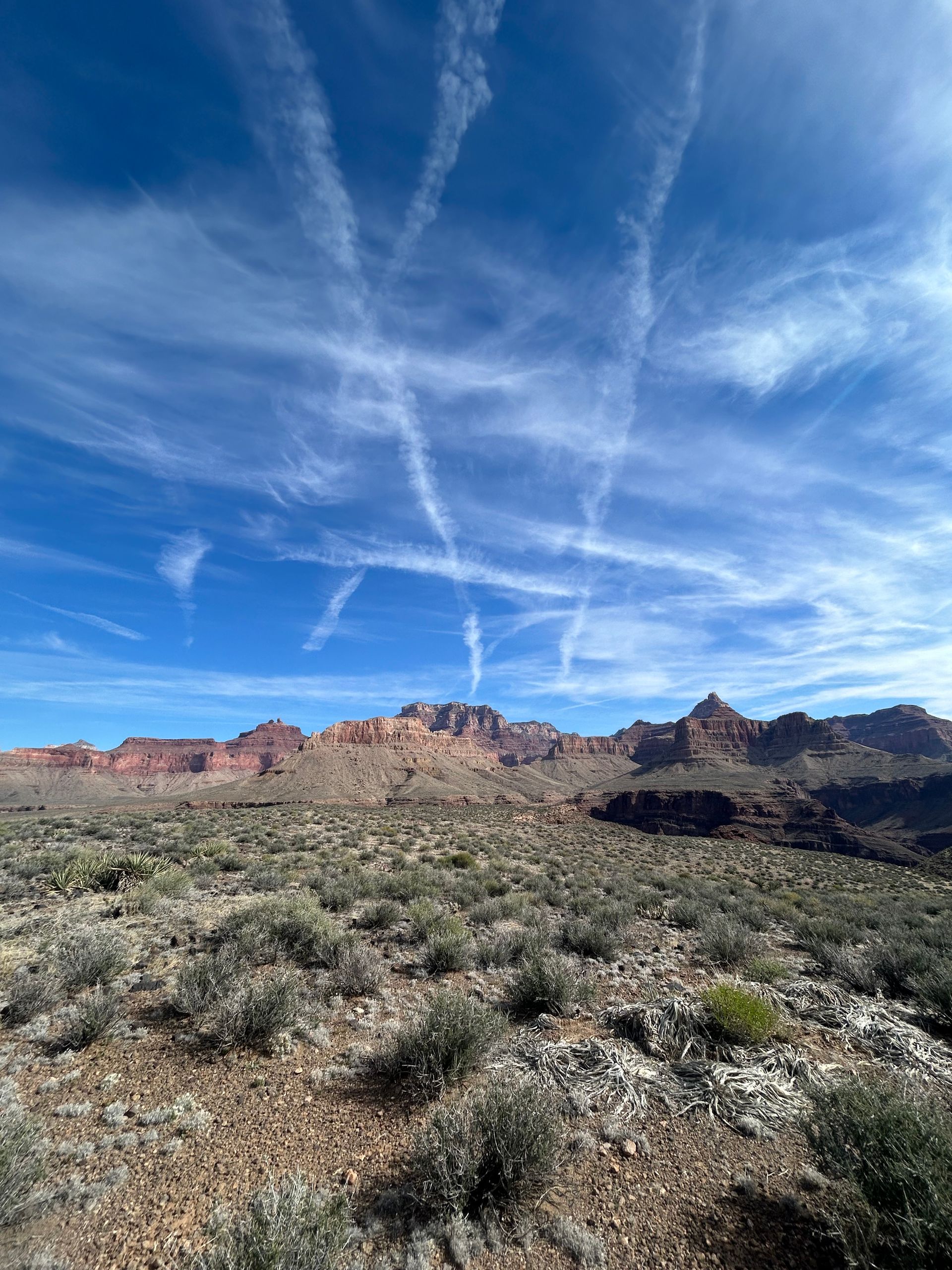 Desert landscape under a blue sky with contrails; mountains in the background, vegetation in the foreground.