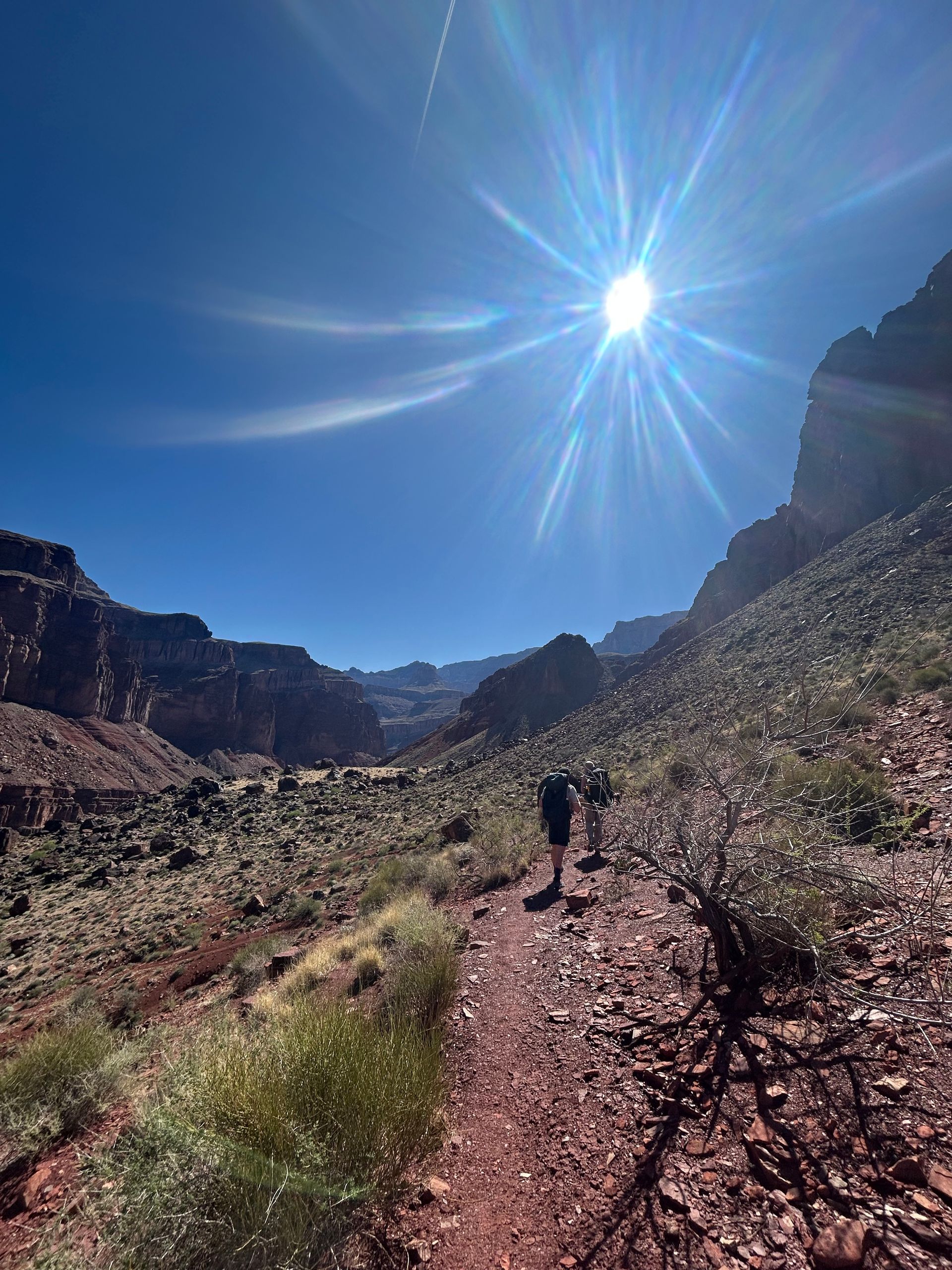 Hikers on a red trail through a canyon under a bright sun. Blue sky, brown rocks, and sparse vegetation.