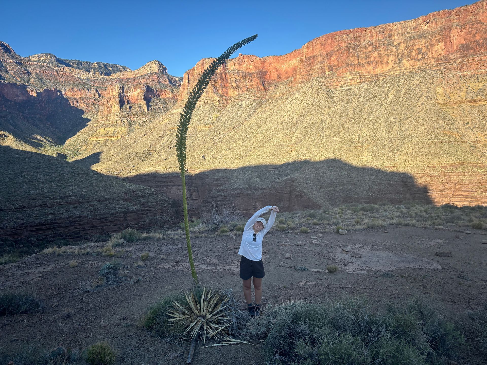 Person stretching beside tall plant, mountains in background.