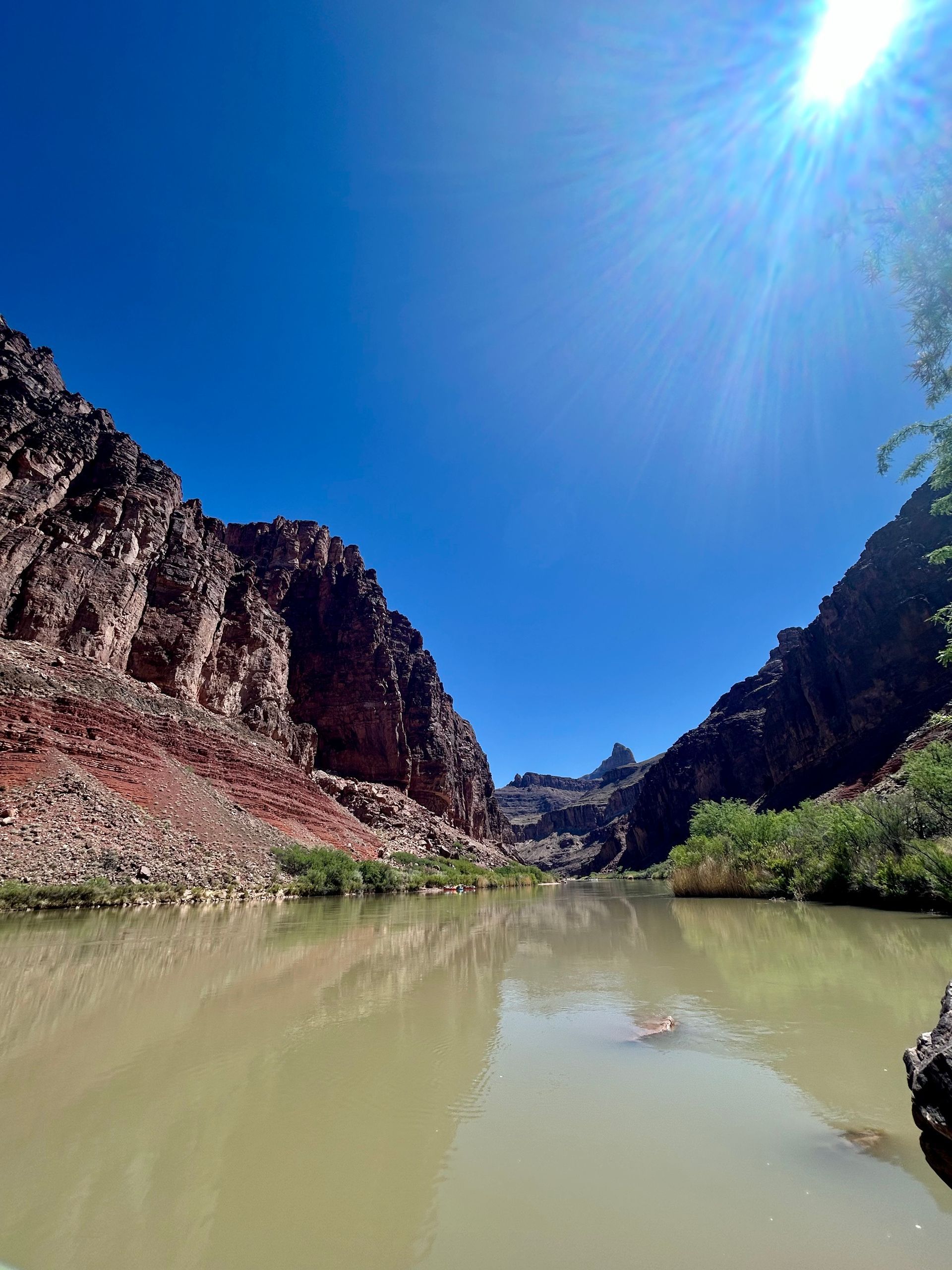 River flowing between canyon walls under a bright, sunny sky.
