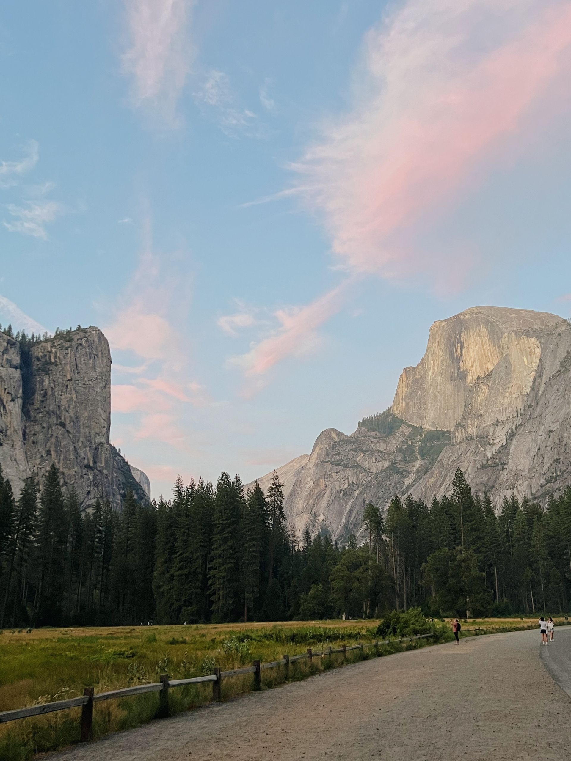 A road going through a field with mountains in the background.
