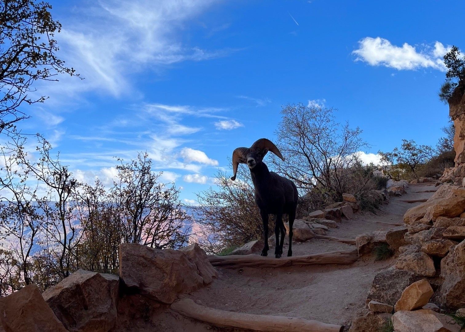 South Rim Hiking & Camping Tour