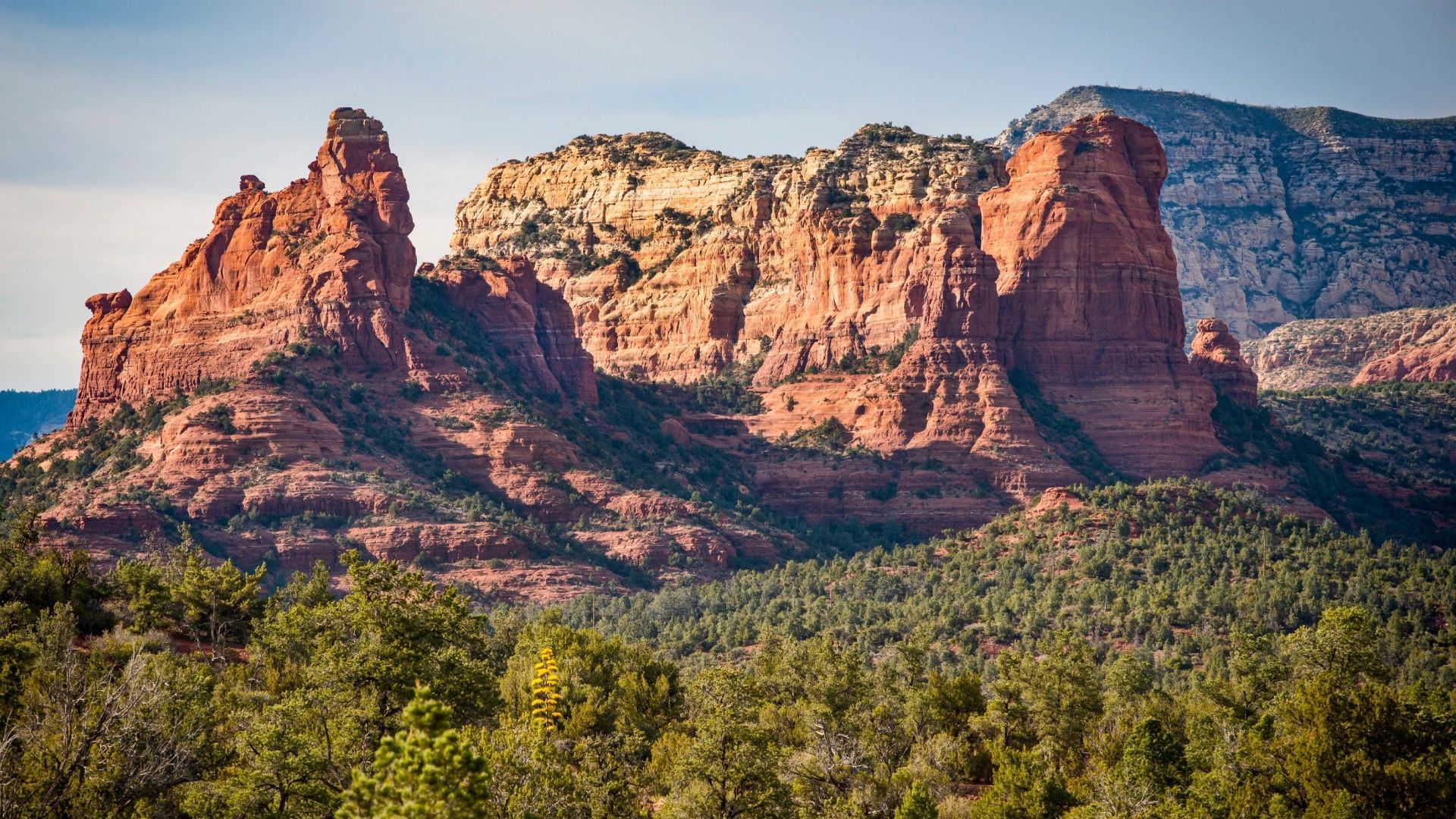 Red rocks tower over a forest