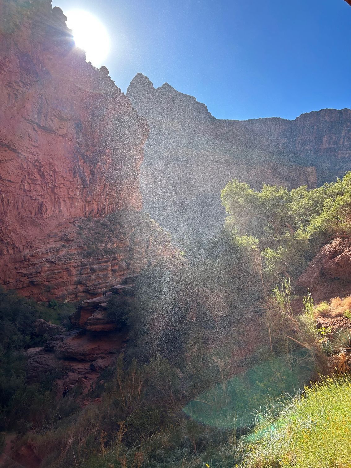 The sun is shining through the trees in a canyon.