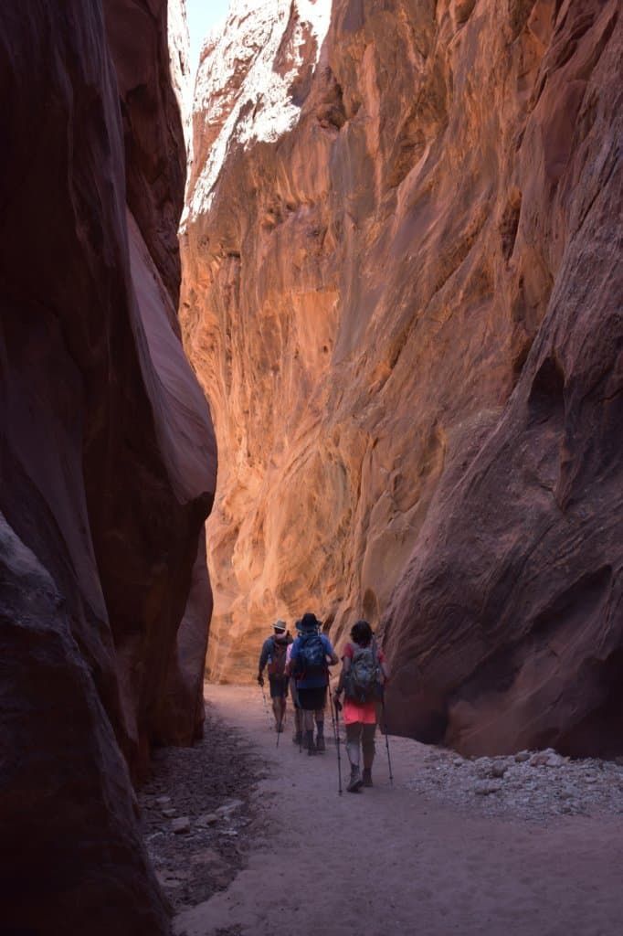 A group of people are walking through a canyon.