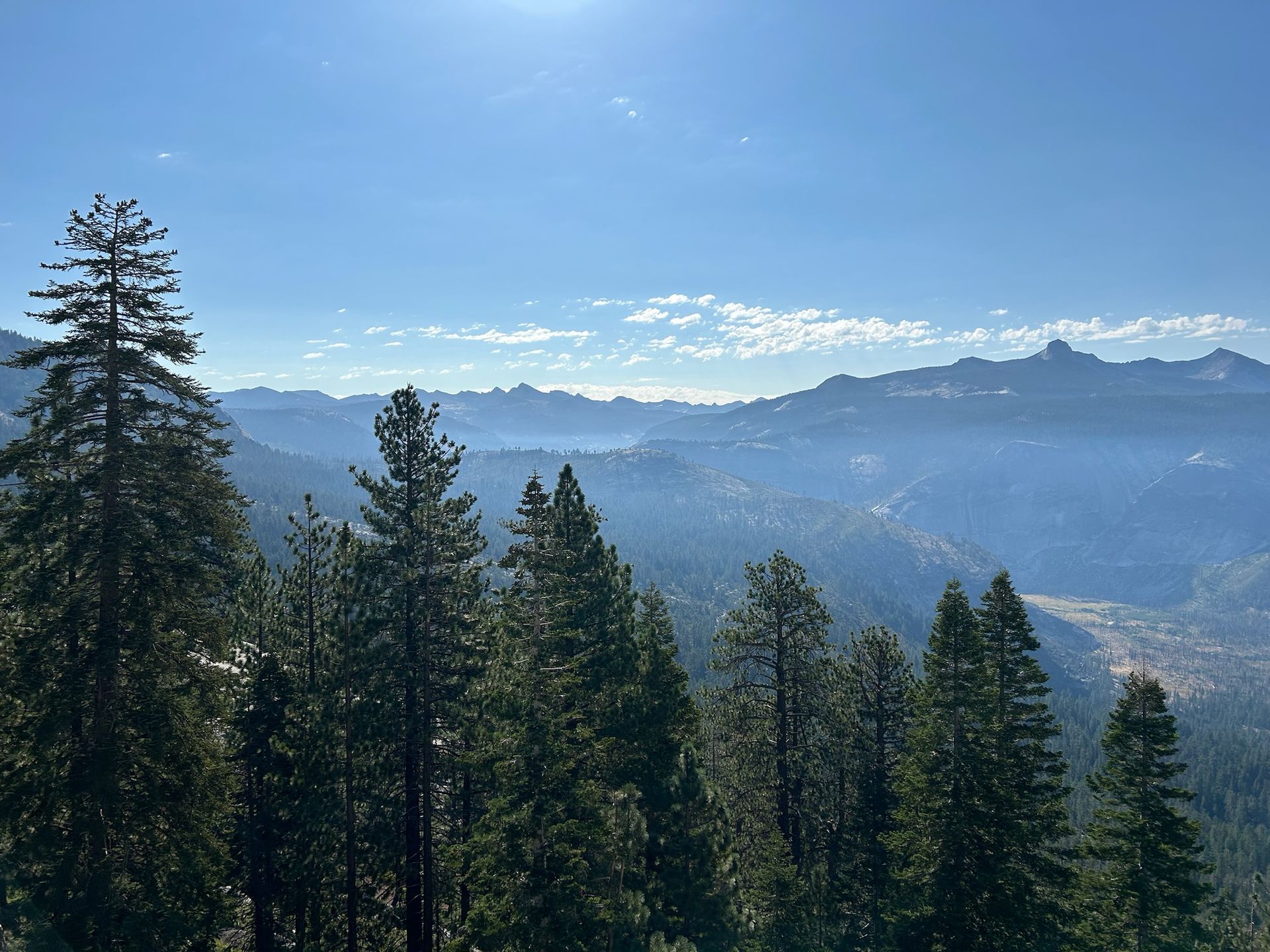 A view of a forest with mountains in the background