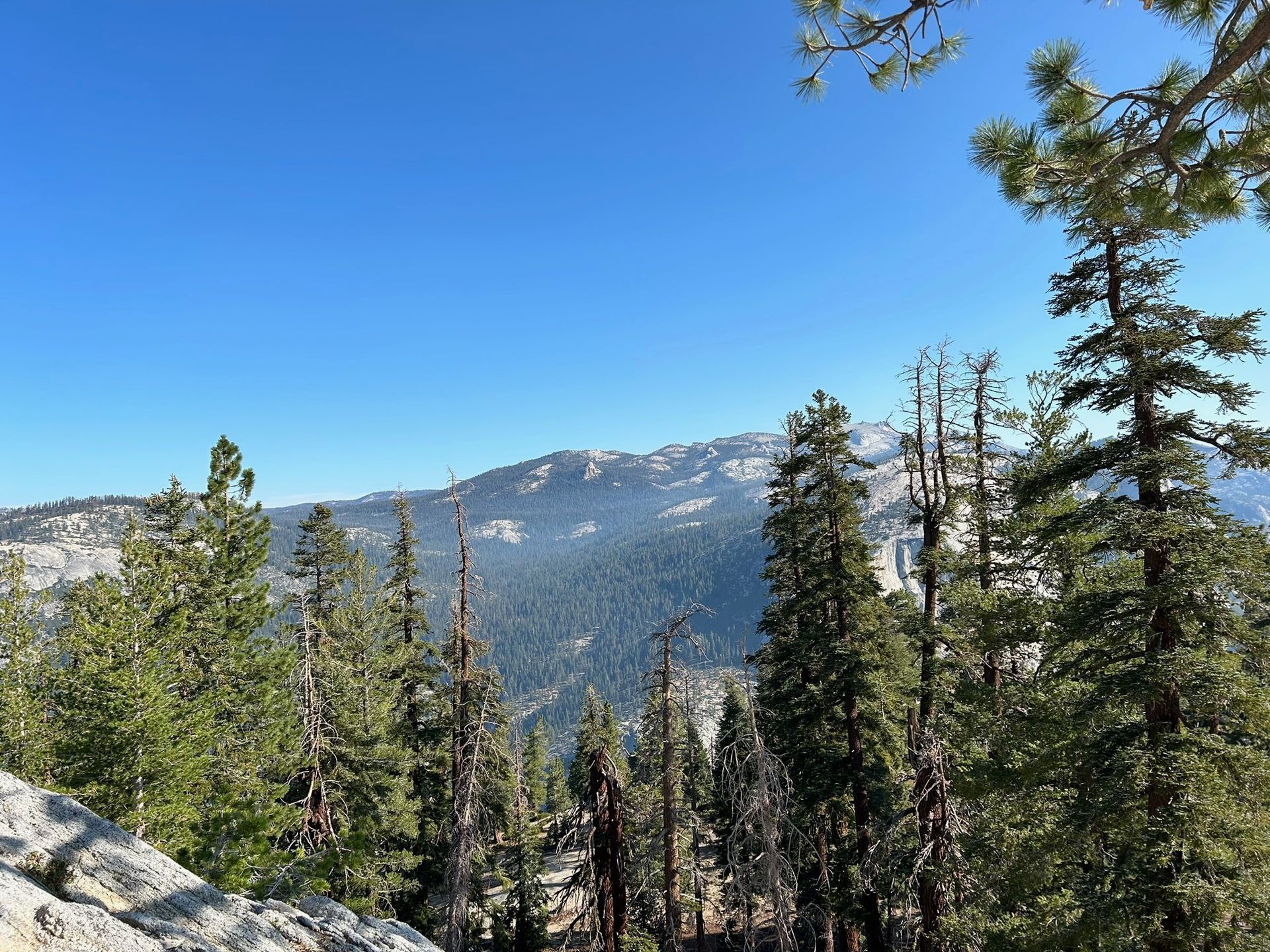 A view of a forest with mountains in the background on a sunny day.