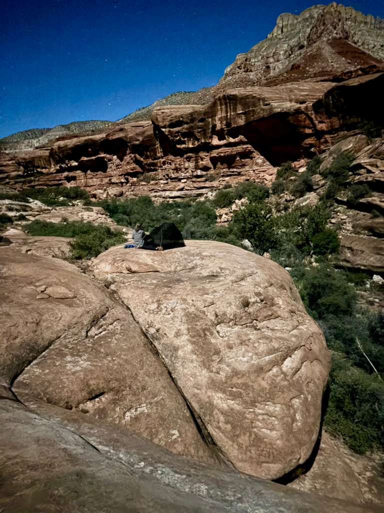 Large boulder with a person and their dog in a desert landscape. Red rock cliffs and a dark blue sky.