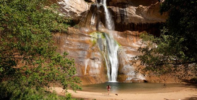 A Waterfall is Surrounded by Trees and a Sandy Beach
