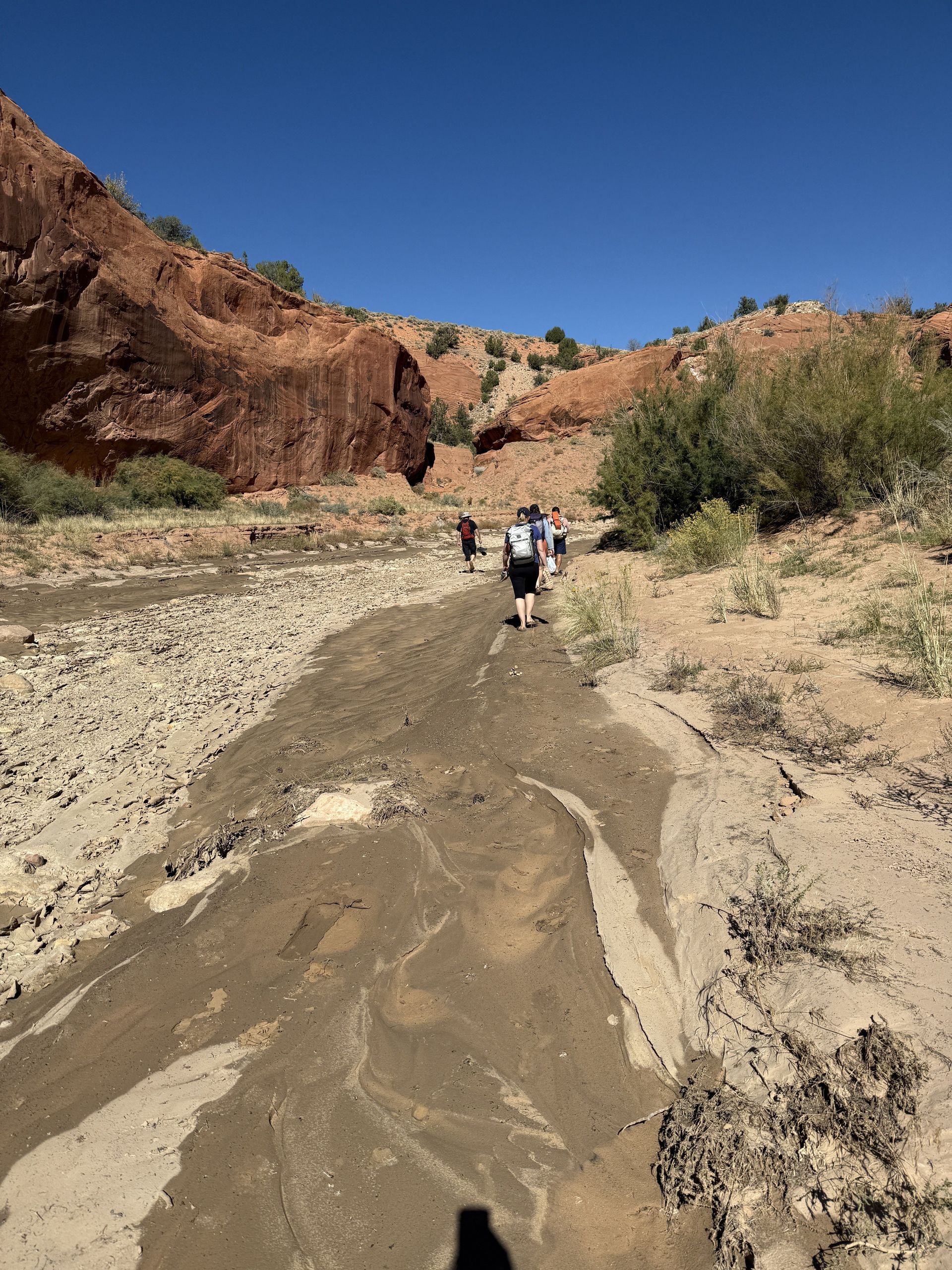People hiking in a dry riverbed, red rock canyon in background, bright blue sky.