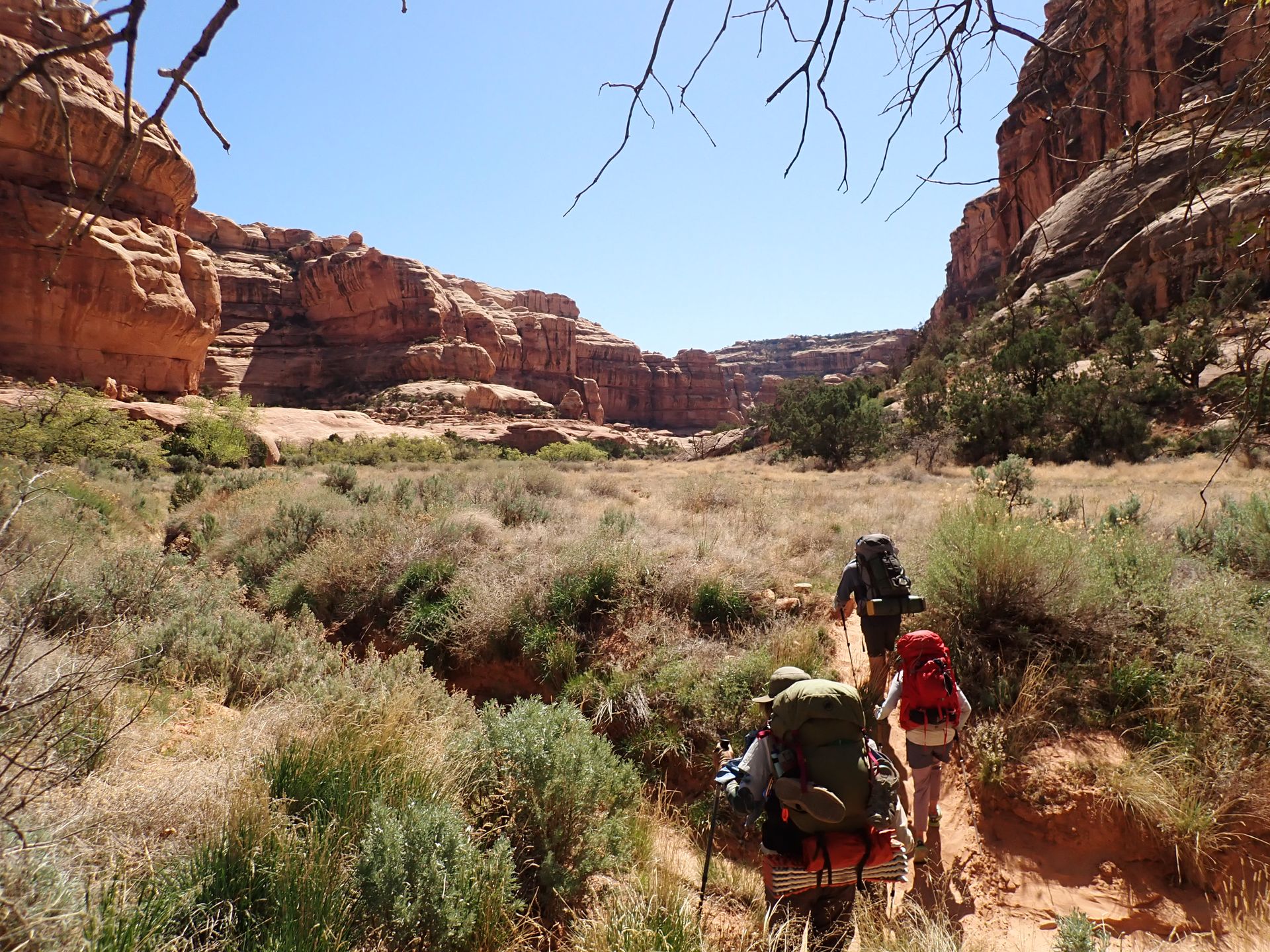 people hiking outside near a mountain 