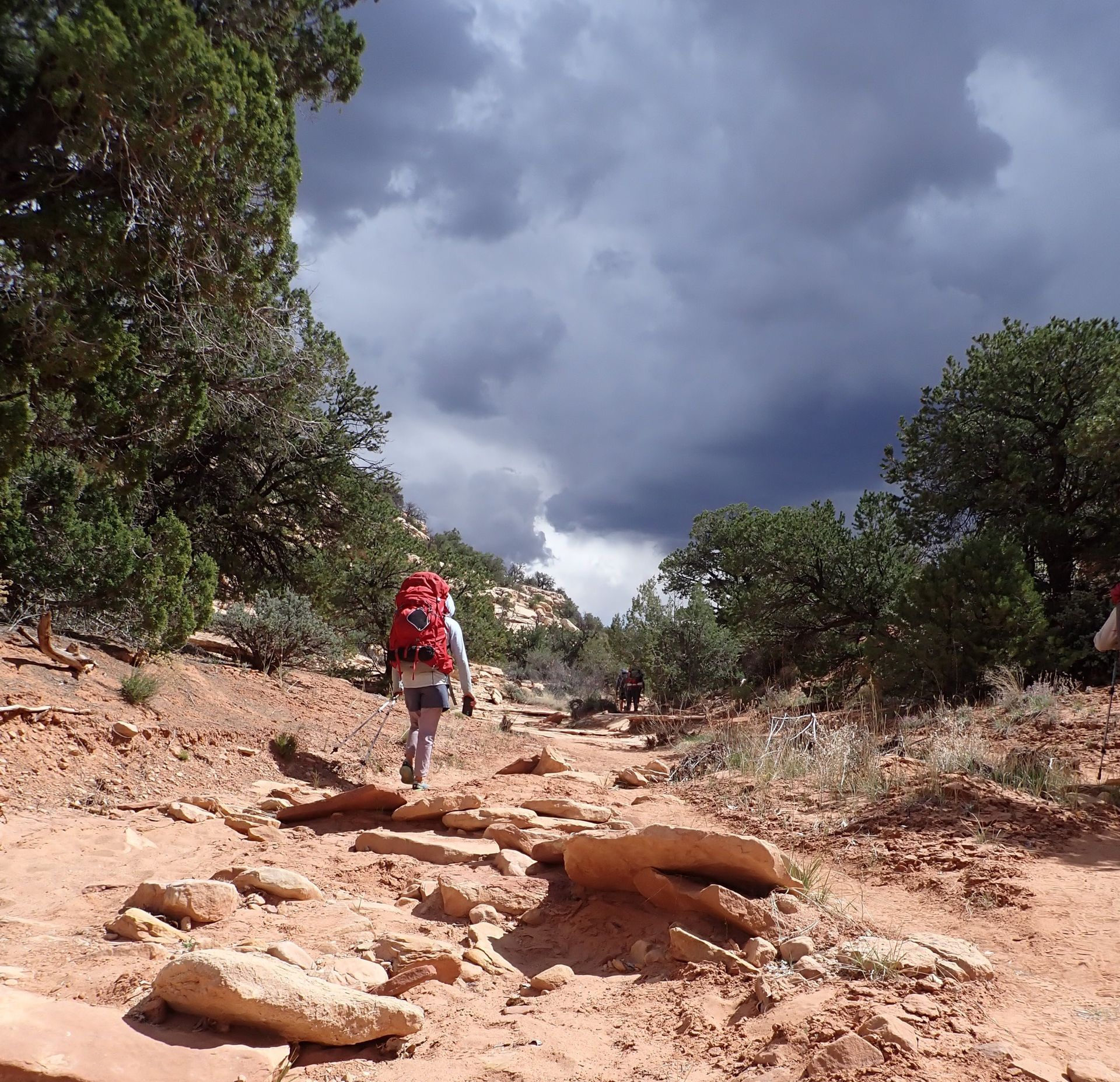 A person with a red backpack is walking down a dirt path