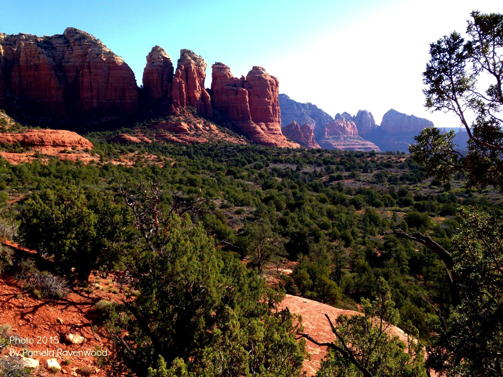 A picture of a valley with mountains in the background