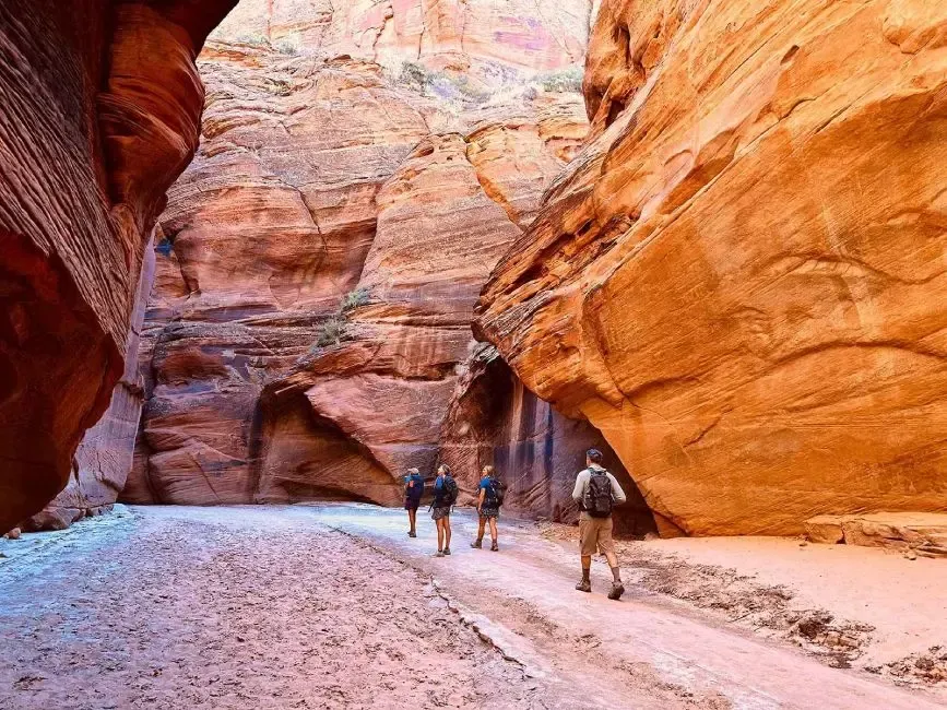 A group of people are walking through a canyon.