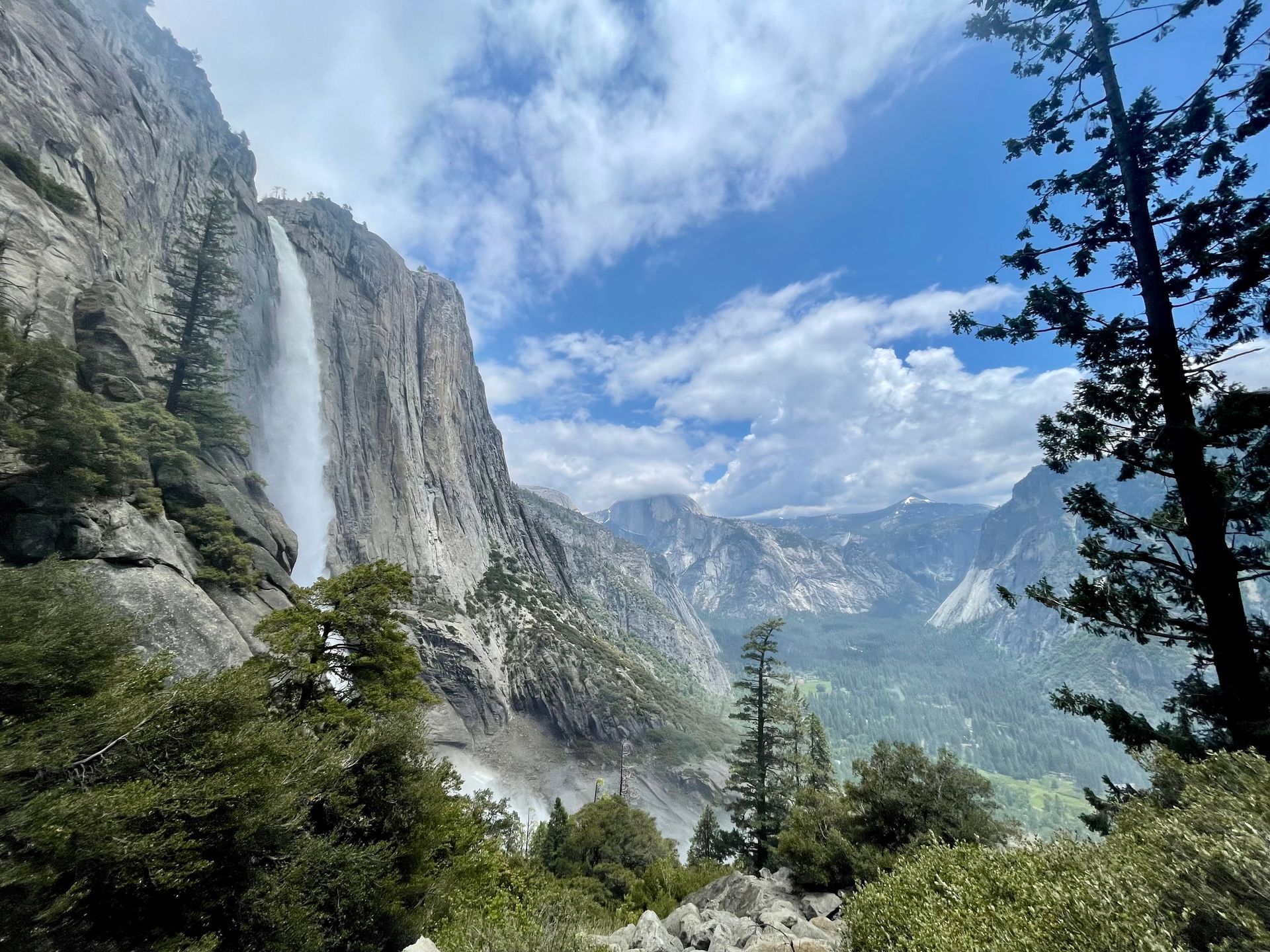 A panoramic view of a mountain range with trees in the foreground.