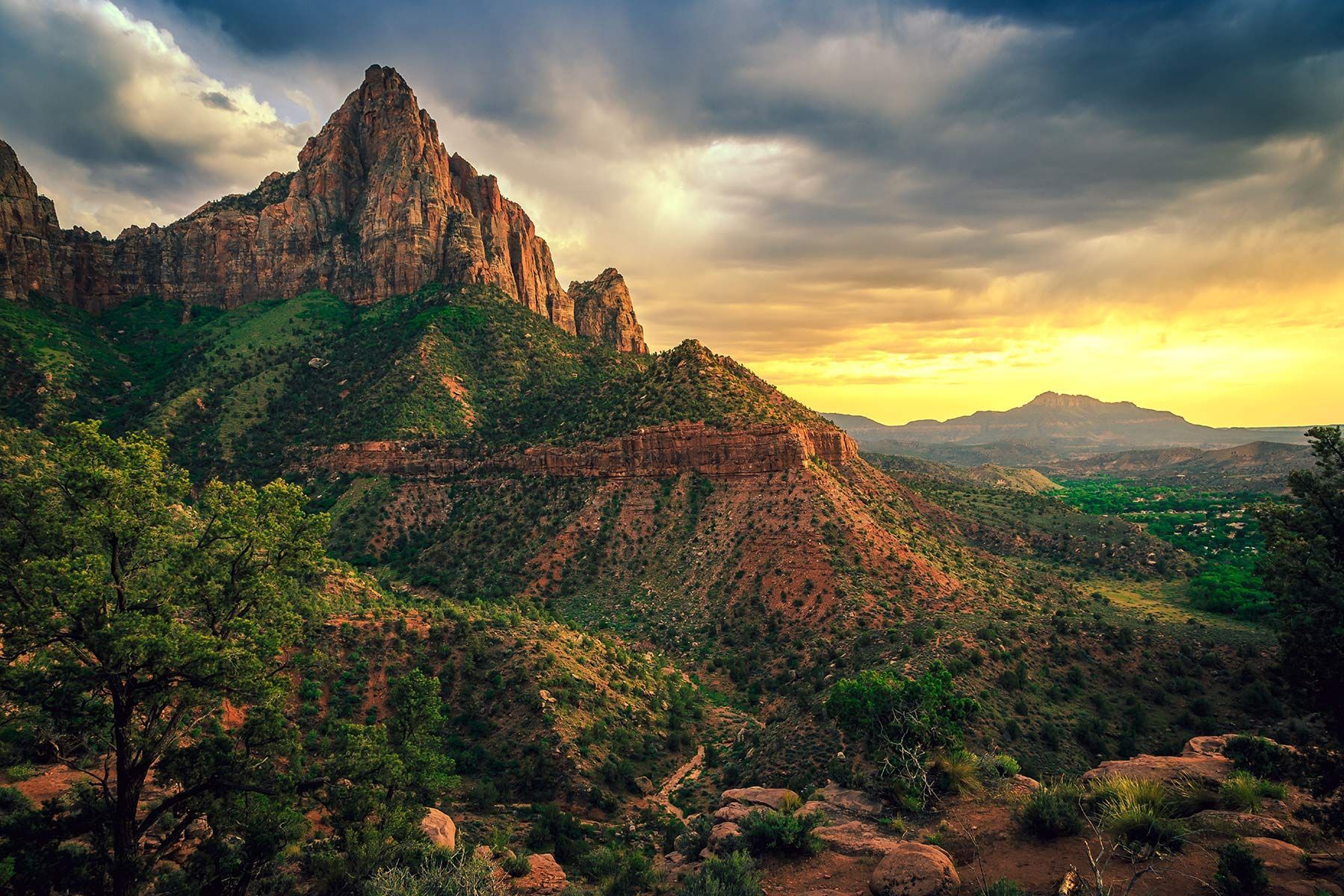 A mountain covered in trees and bushes with a sunset in the background.