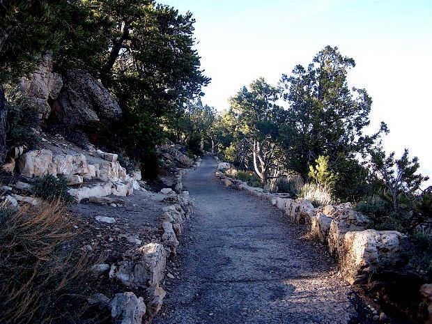 A dirt path in the woods with trees on both sides